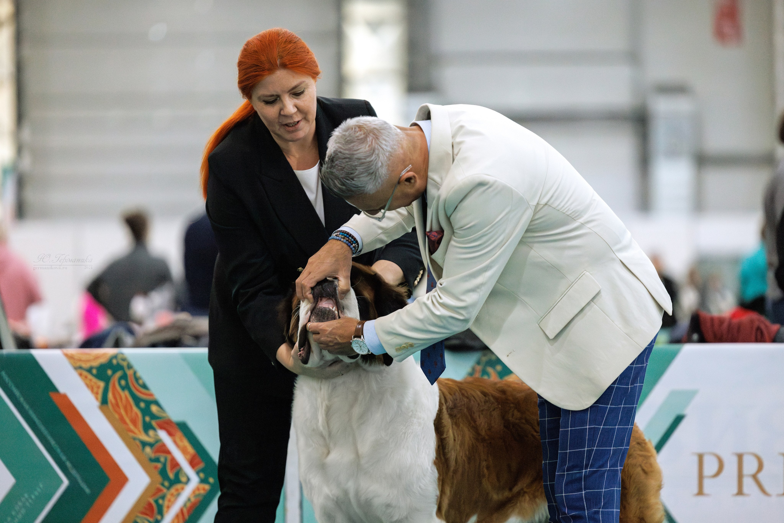 Евразия 16-17.11.2024. Фотограф-анималист Юлия Германика