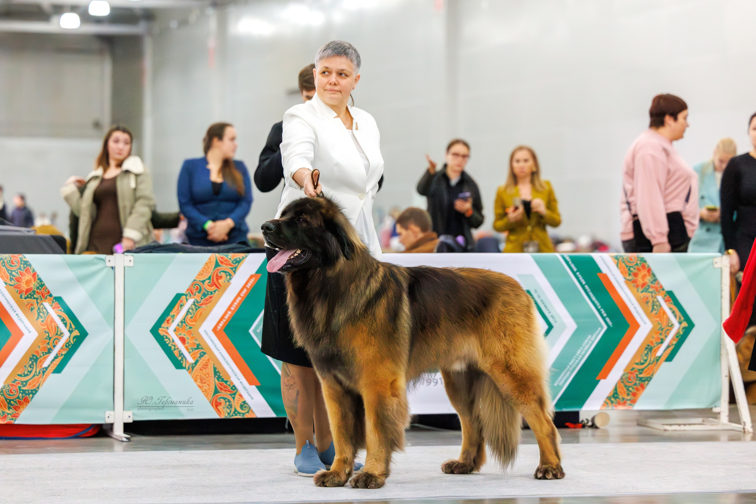 Евразия 15-16.11.2025. Фотограф-анималист Юлия Германика