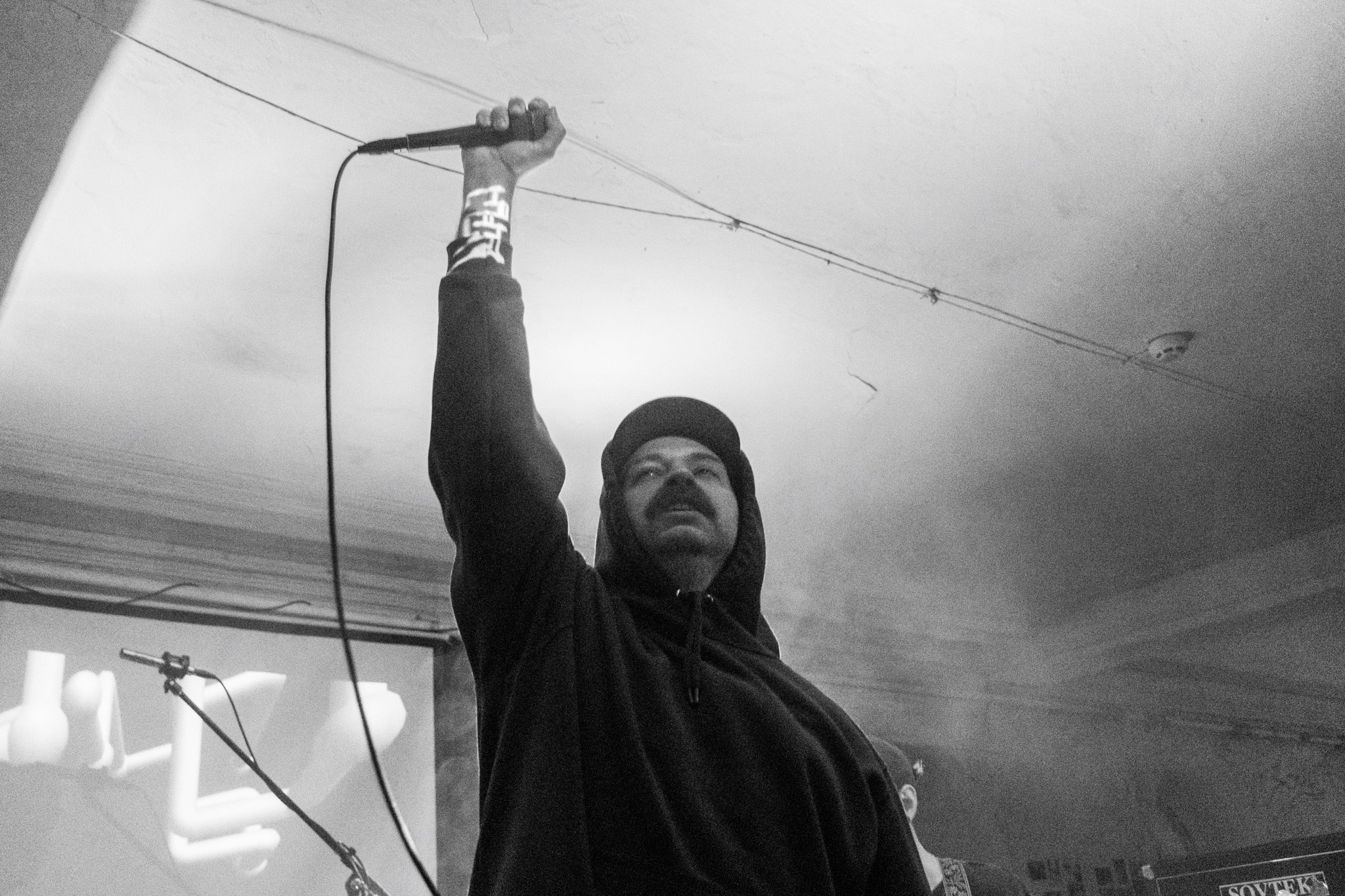 Змееед, Apodemus, 20.12.25, TAGO)))MAGO)))