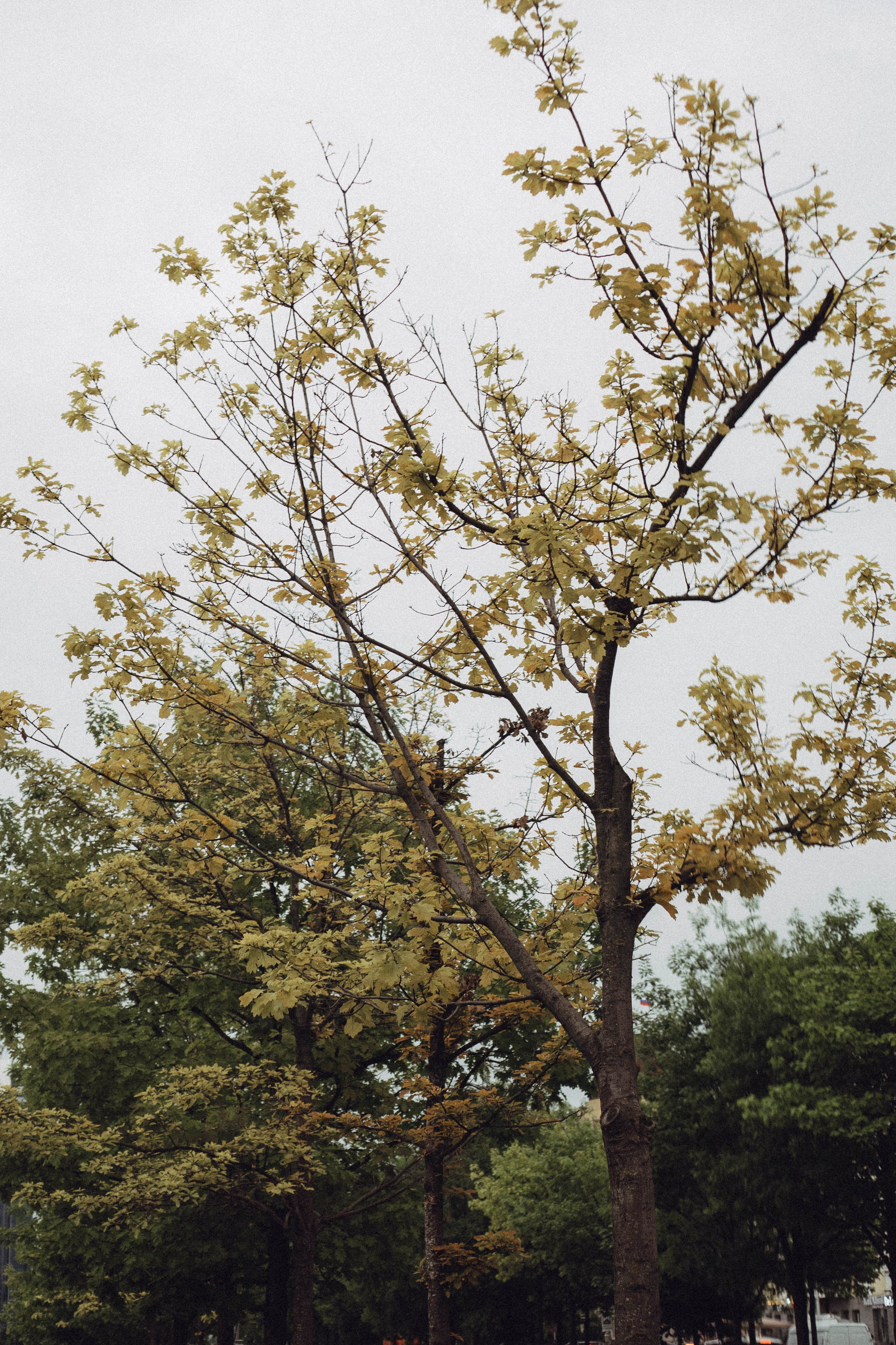 Кавказ. Профессиональный фотограф, Санкт-Петербург — Виктория Богомолова