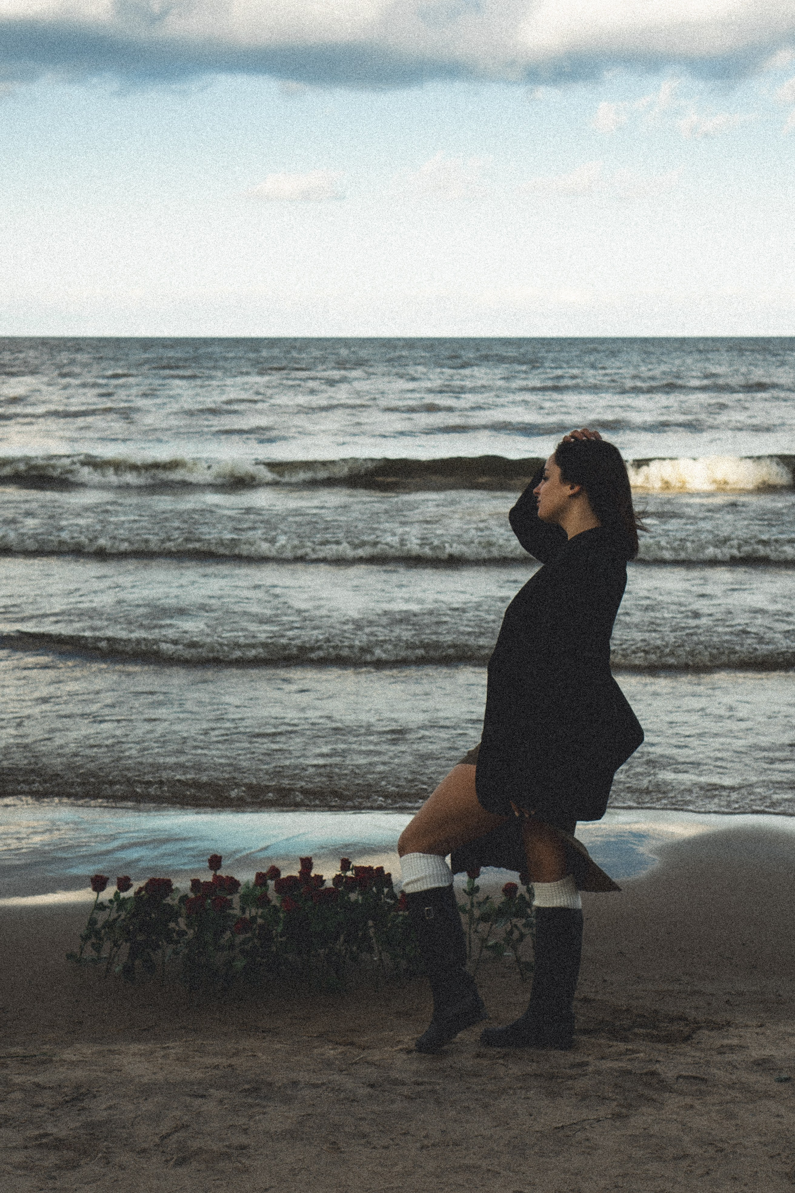 Розы. Профессиональный фотограф, Санкт-Петербург — Виктория Богомолова