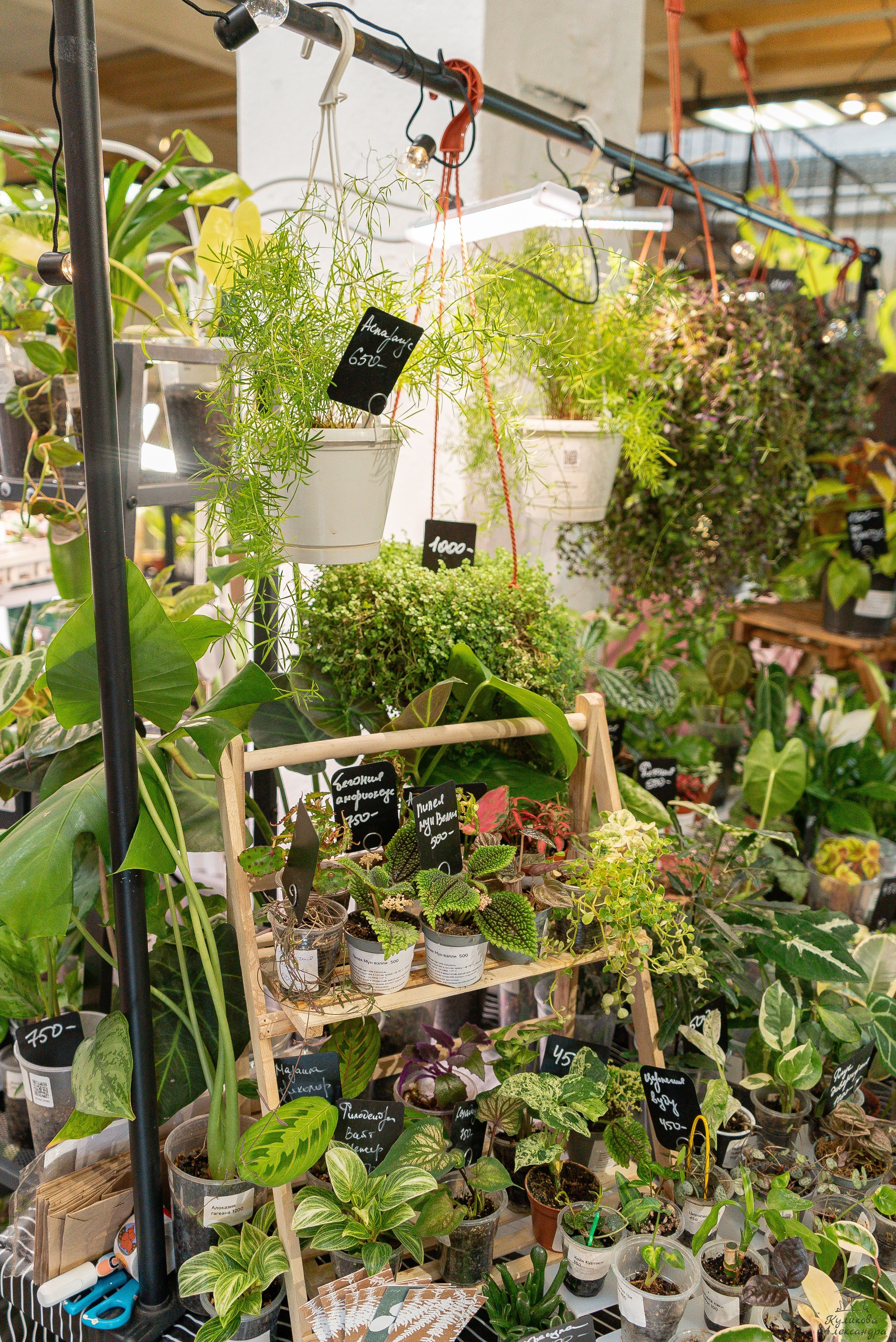 Гроубокс Артплей апрель. Александра Куликова фотограф, Москва