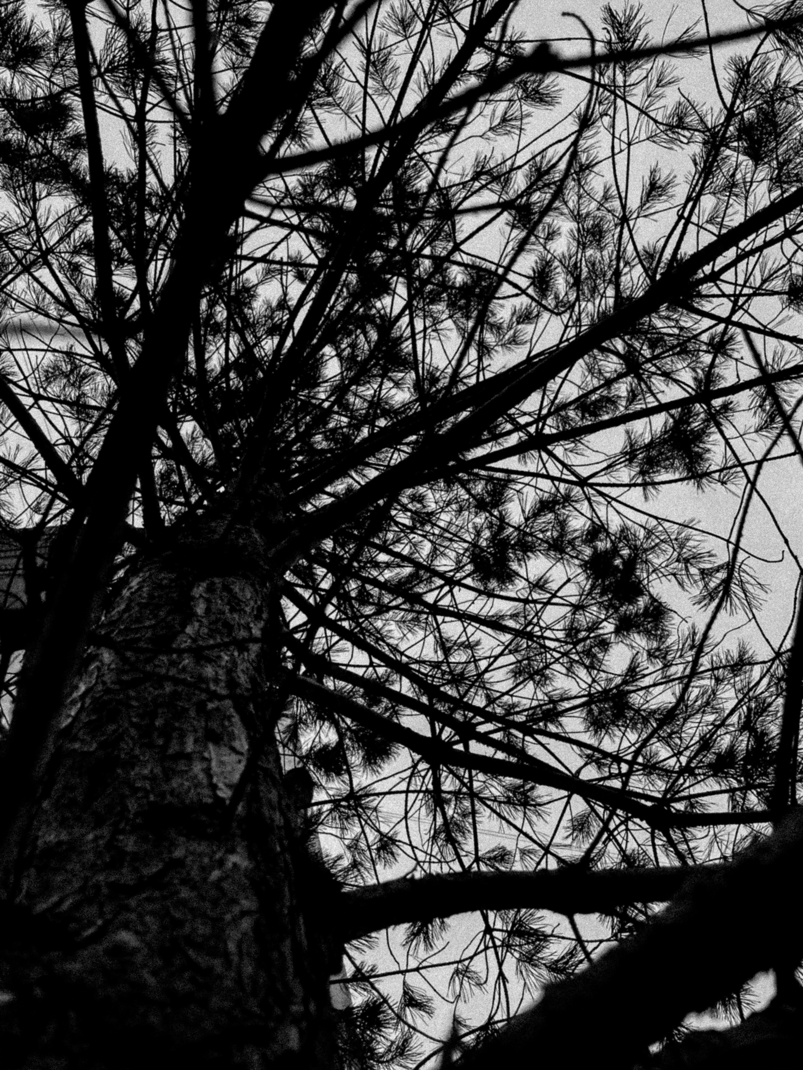 Город Н. Предание о руинах: АРХИВ ПУСТОТЫ