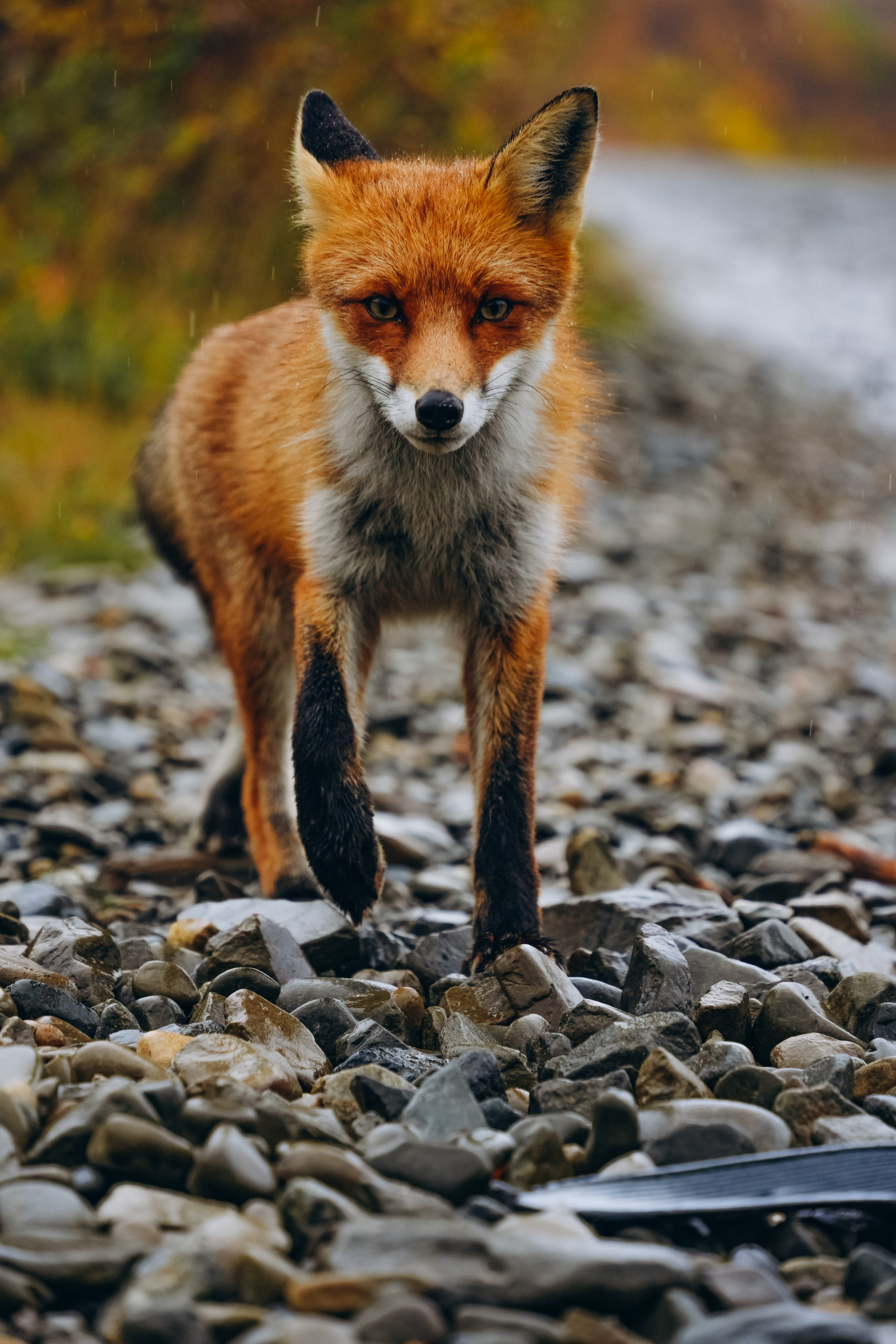 СЕВЕР. Event фотограф Степанова Александра