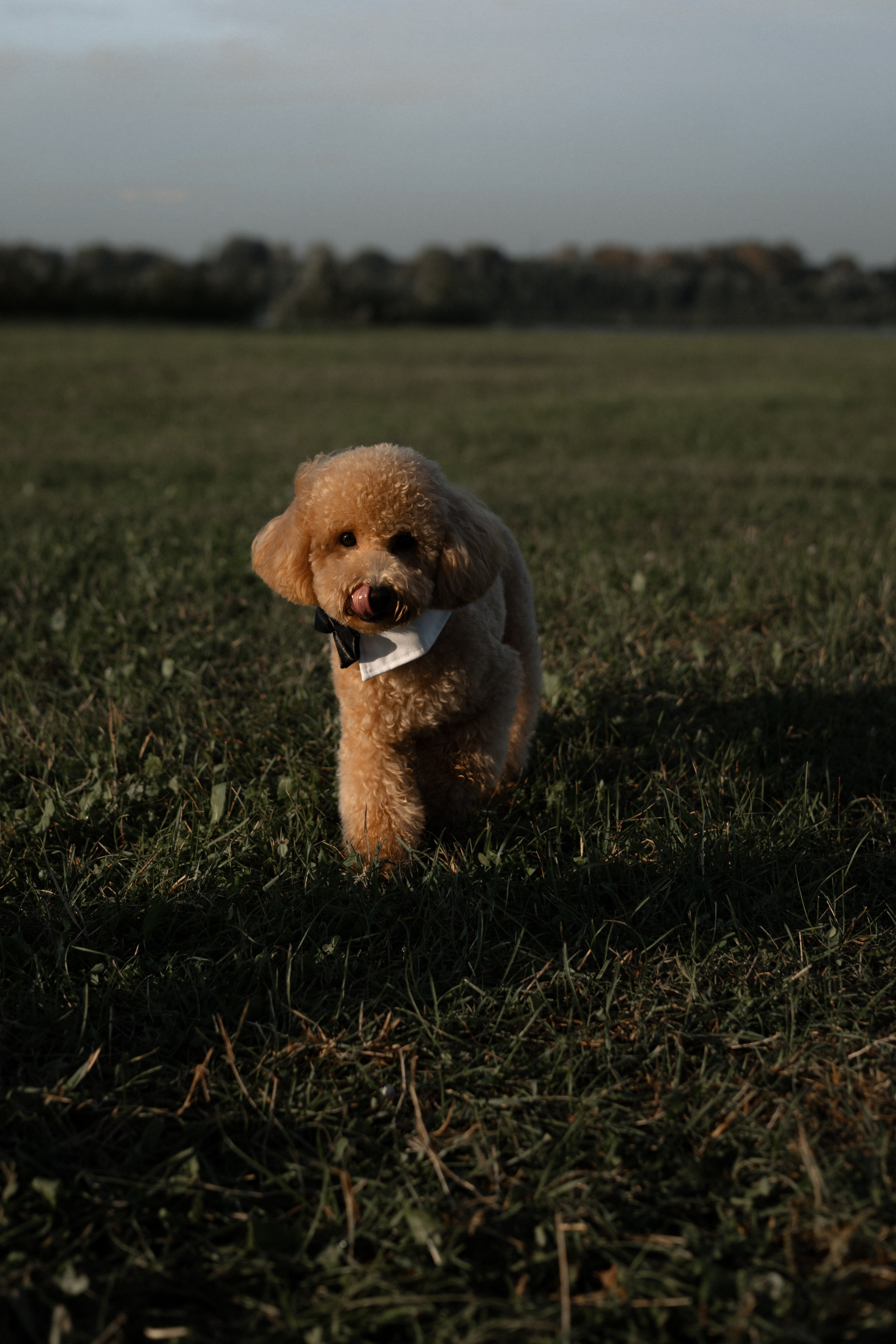 Георгий и Ася