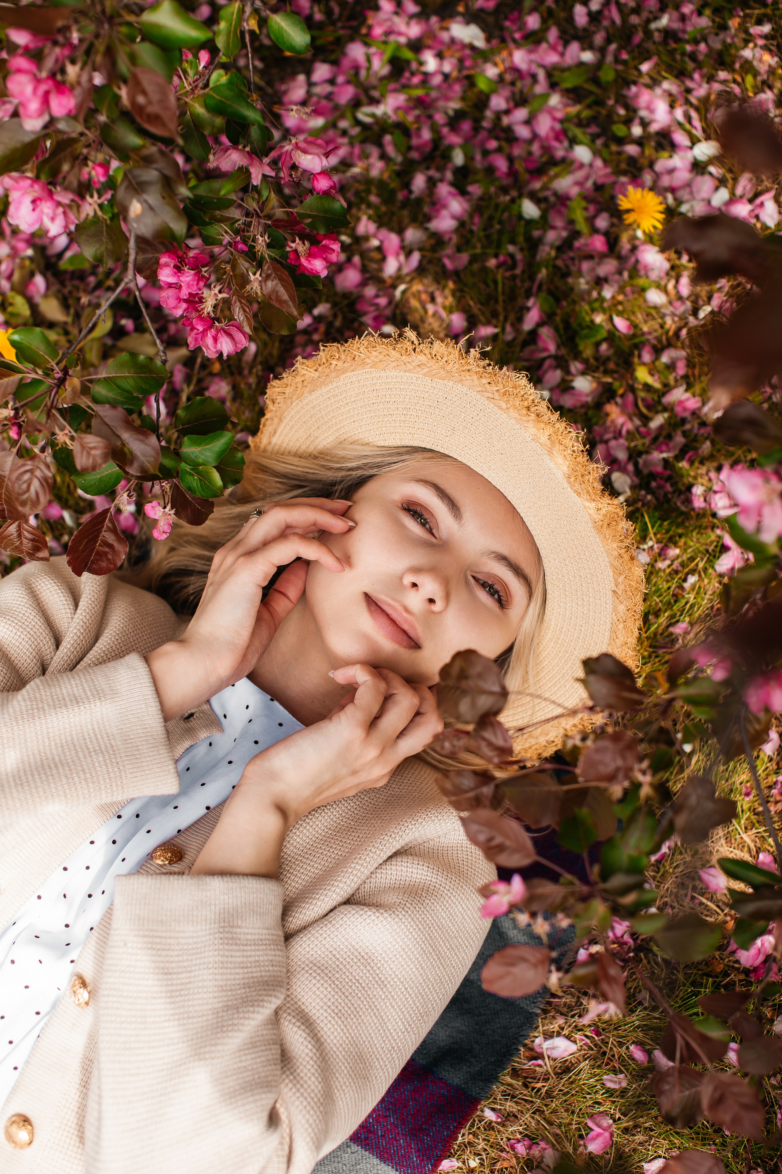 Цветение. Анастасия Давыдова