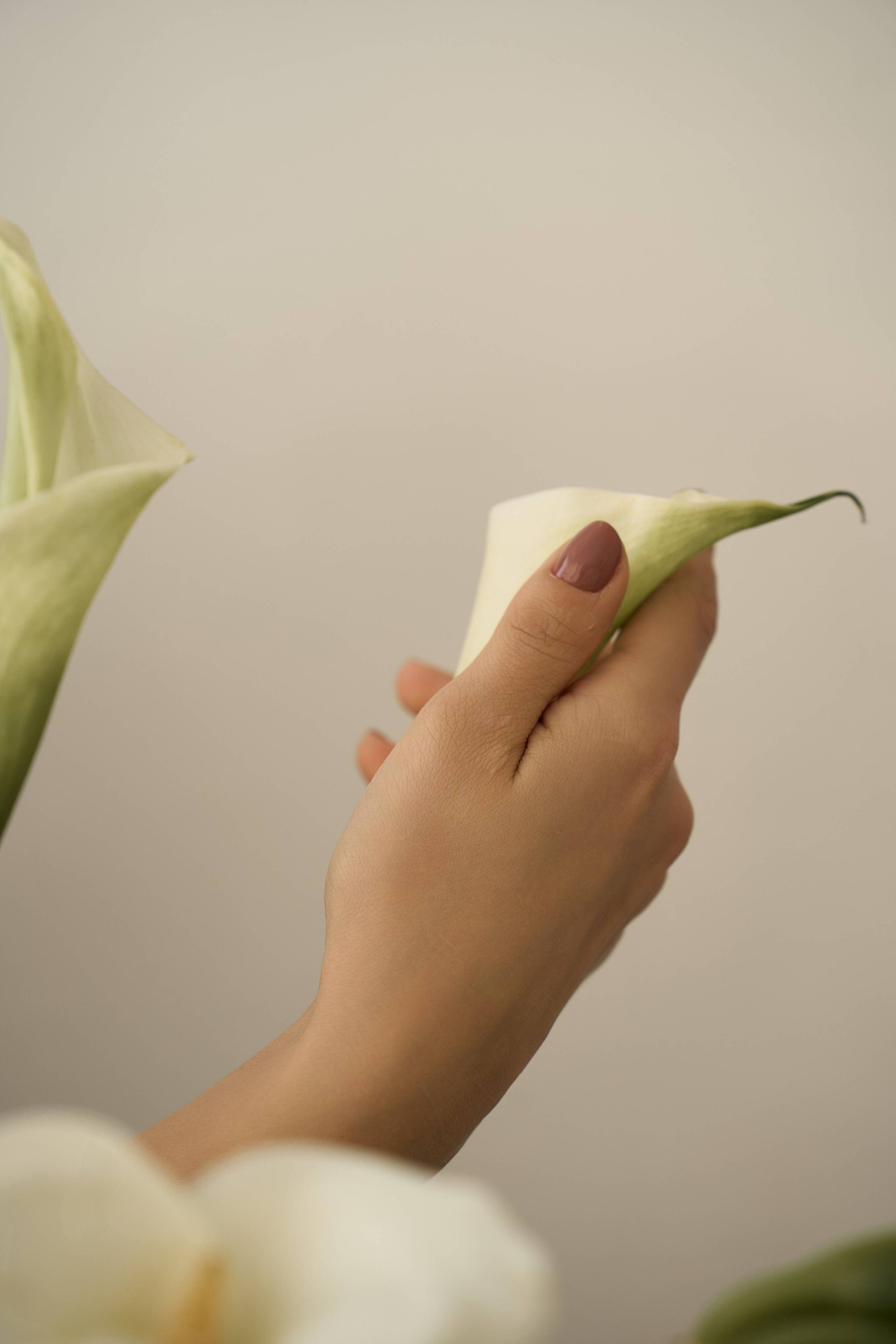 Настя. Ваш фотограф Анастасия Болотникова