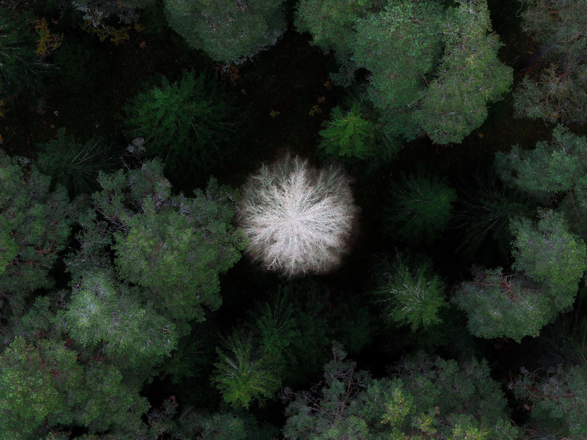 Остров Валаам. Архитектурный и пейзажный фотограф Кондратенко Руслан, Санкт-Петербург