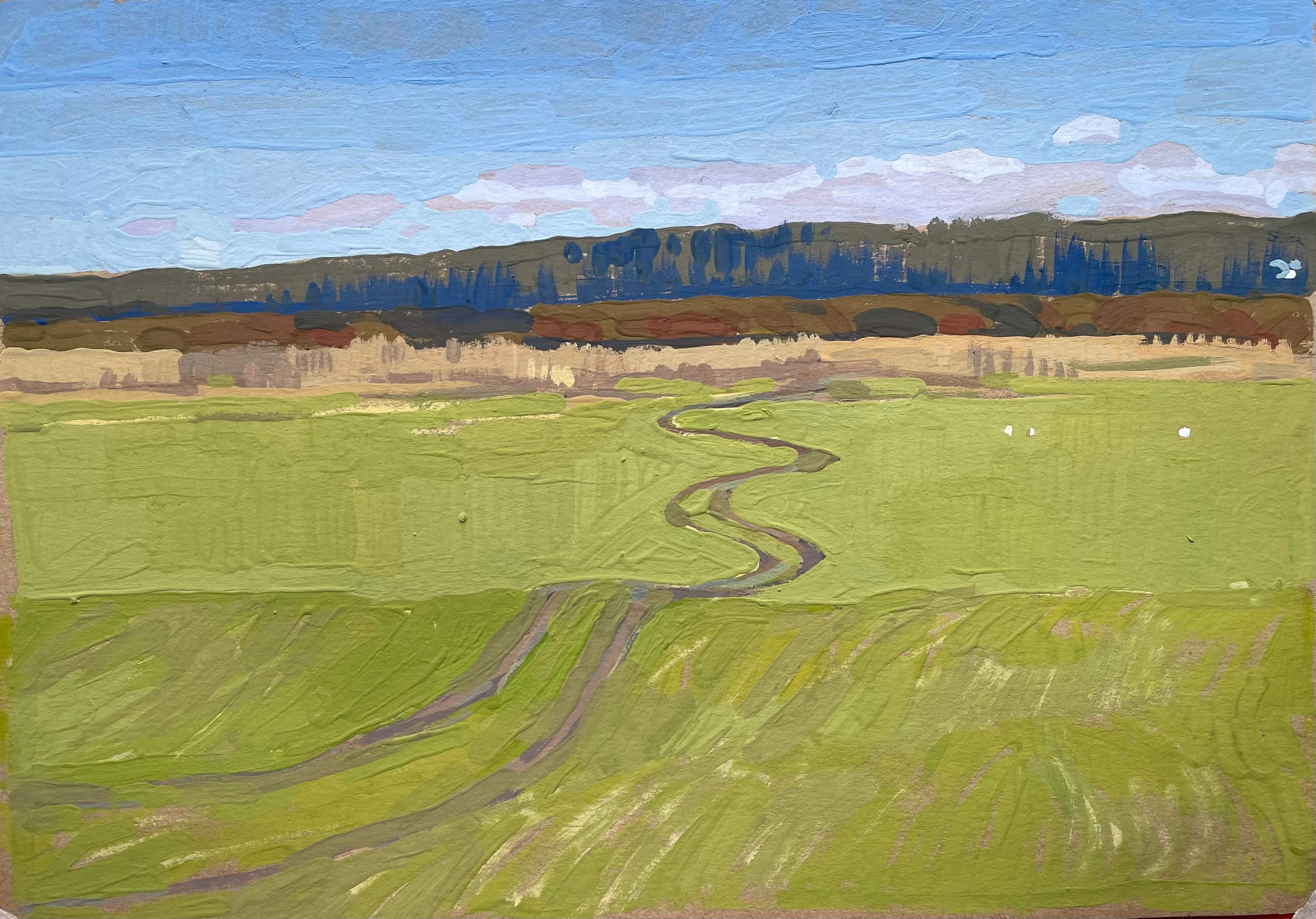 Вологодская область. Художница Лиза Владимирова