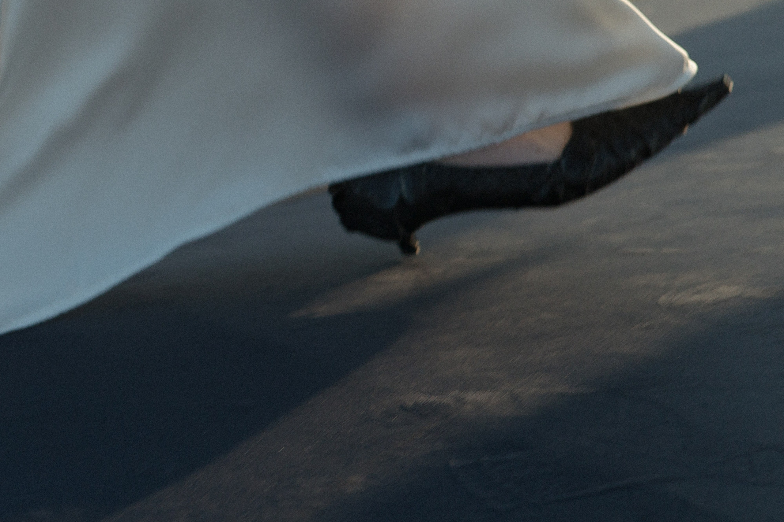 Wedding day Степа и Александра. Свадебный фотограф Колесников Антон