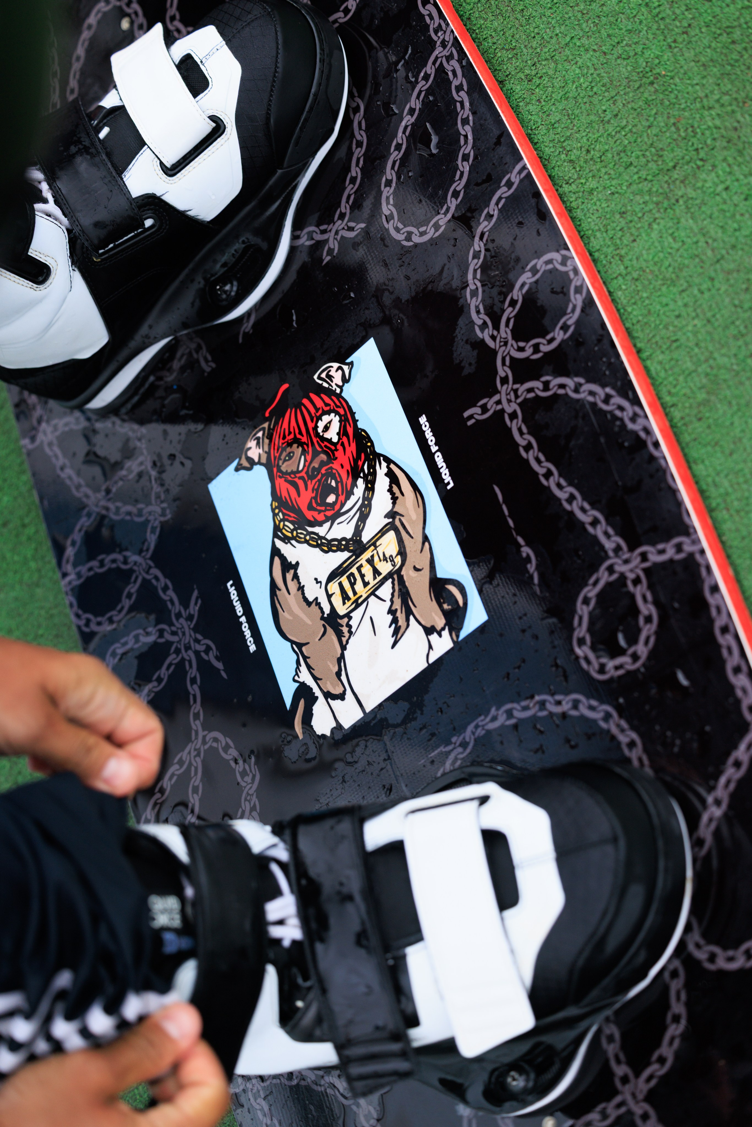 KUPCHINO OPEN CONTEST 2025. Фотограф Александр Заломаев