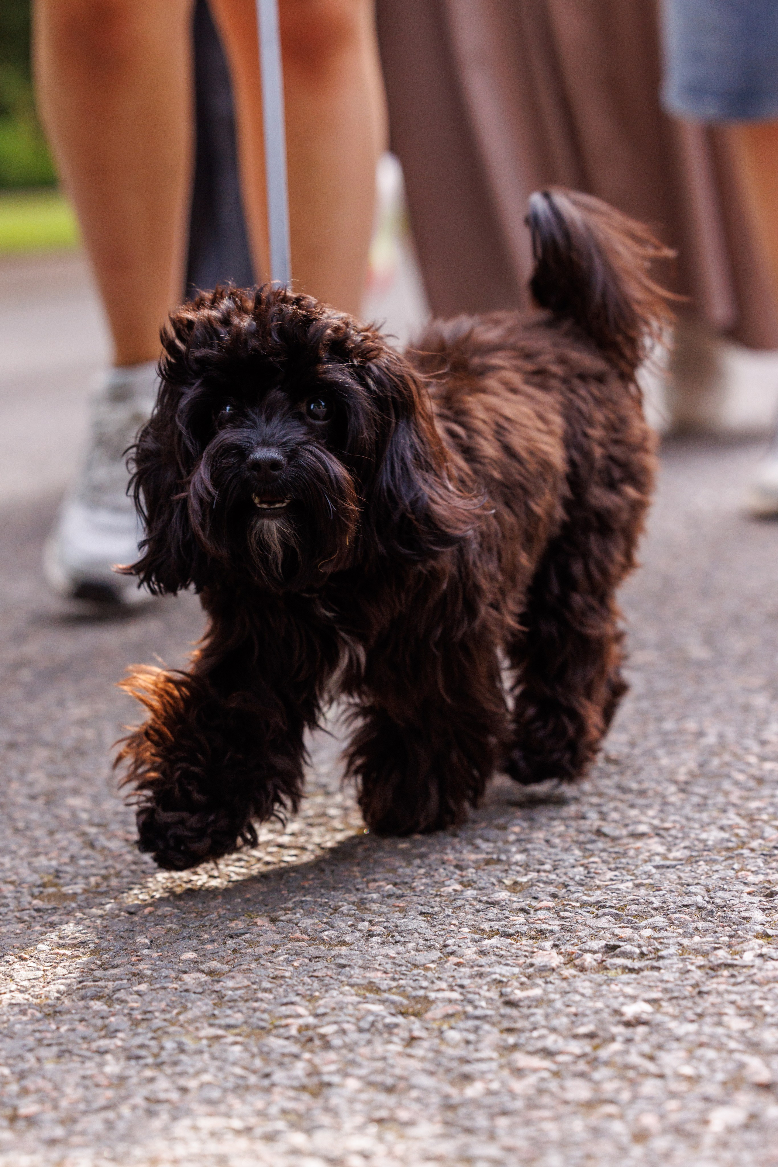 PetShopDays2026. Фотограф Александр Заломаев