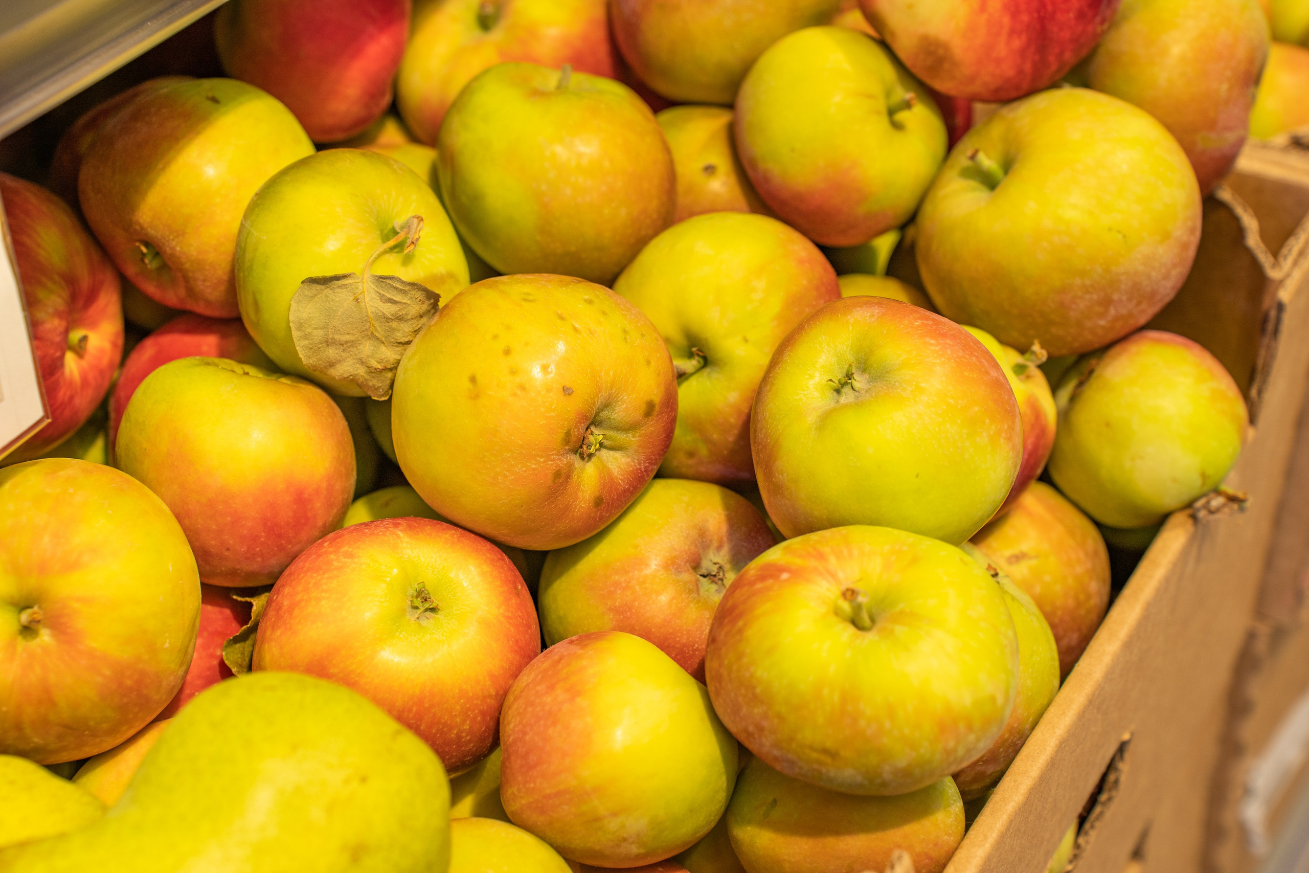 Открытие магазина «Верный». Концертный и репортажный фотограф в Санкт-Петербурге Слава Пахомов