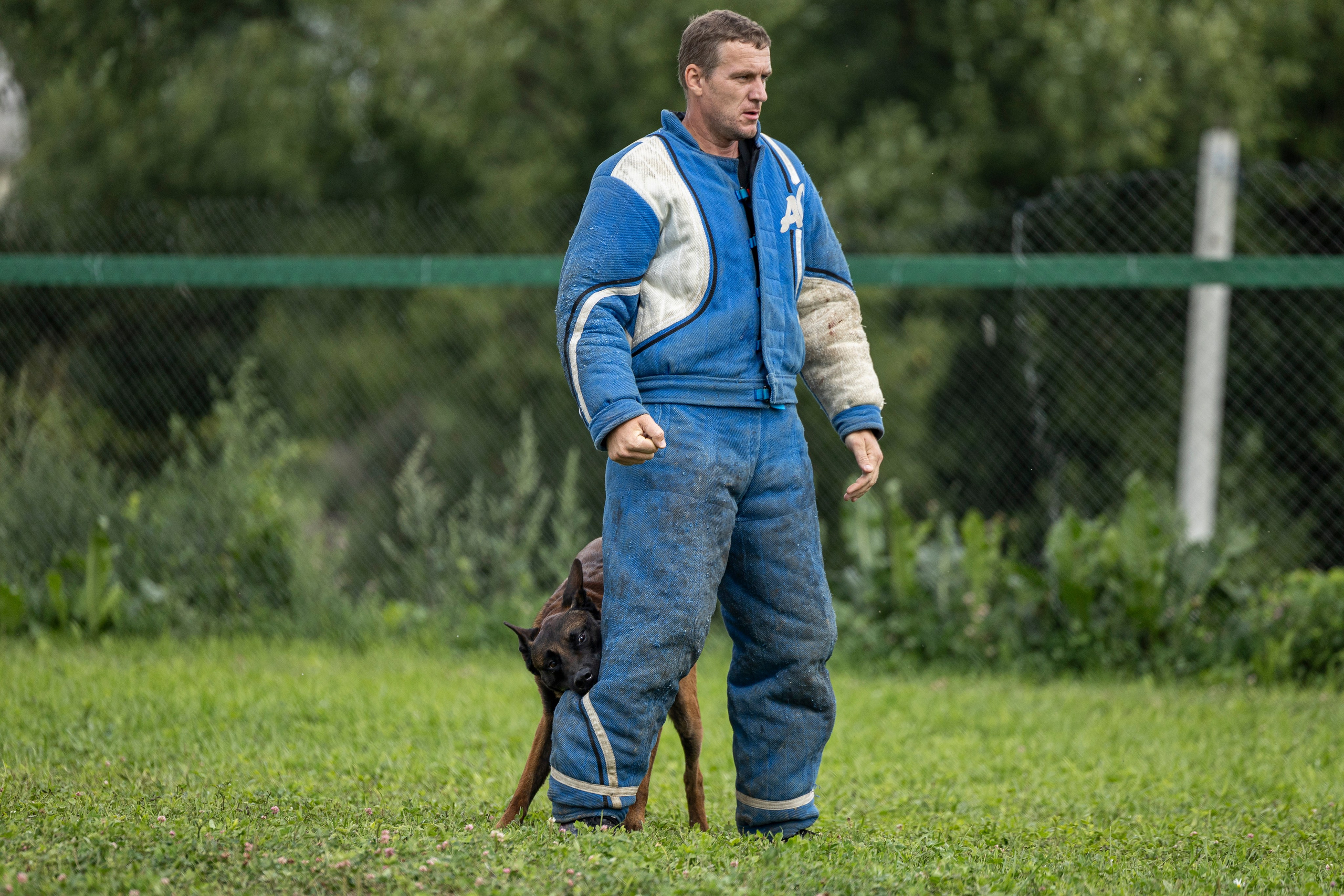 Соревнования по Мондьорингу г. Вологда 10-11.08.2024. Фотограф-анималист Анна Маринич