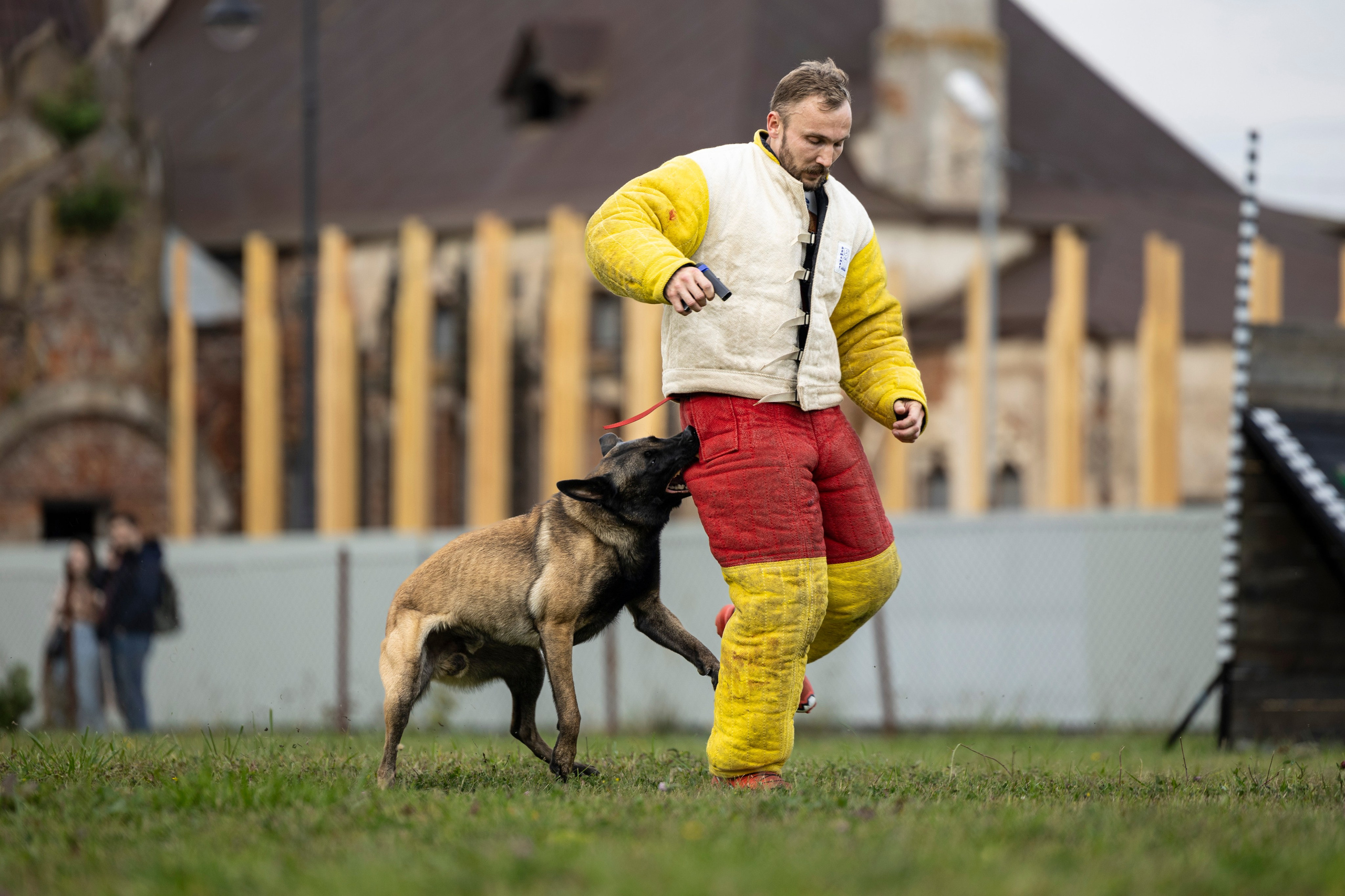 Испытания по Мондьорингу г. Пушкин. Фотограф-анималист Анна Маринич