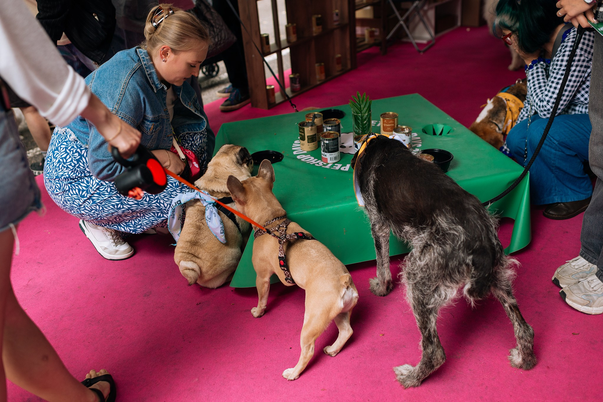 PETSHOP DAYS. Июнь 26. Репортажный фотограф в Санкт-Петербурге Анастасия Клёпова