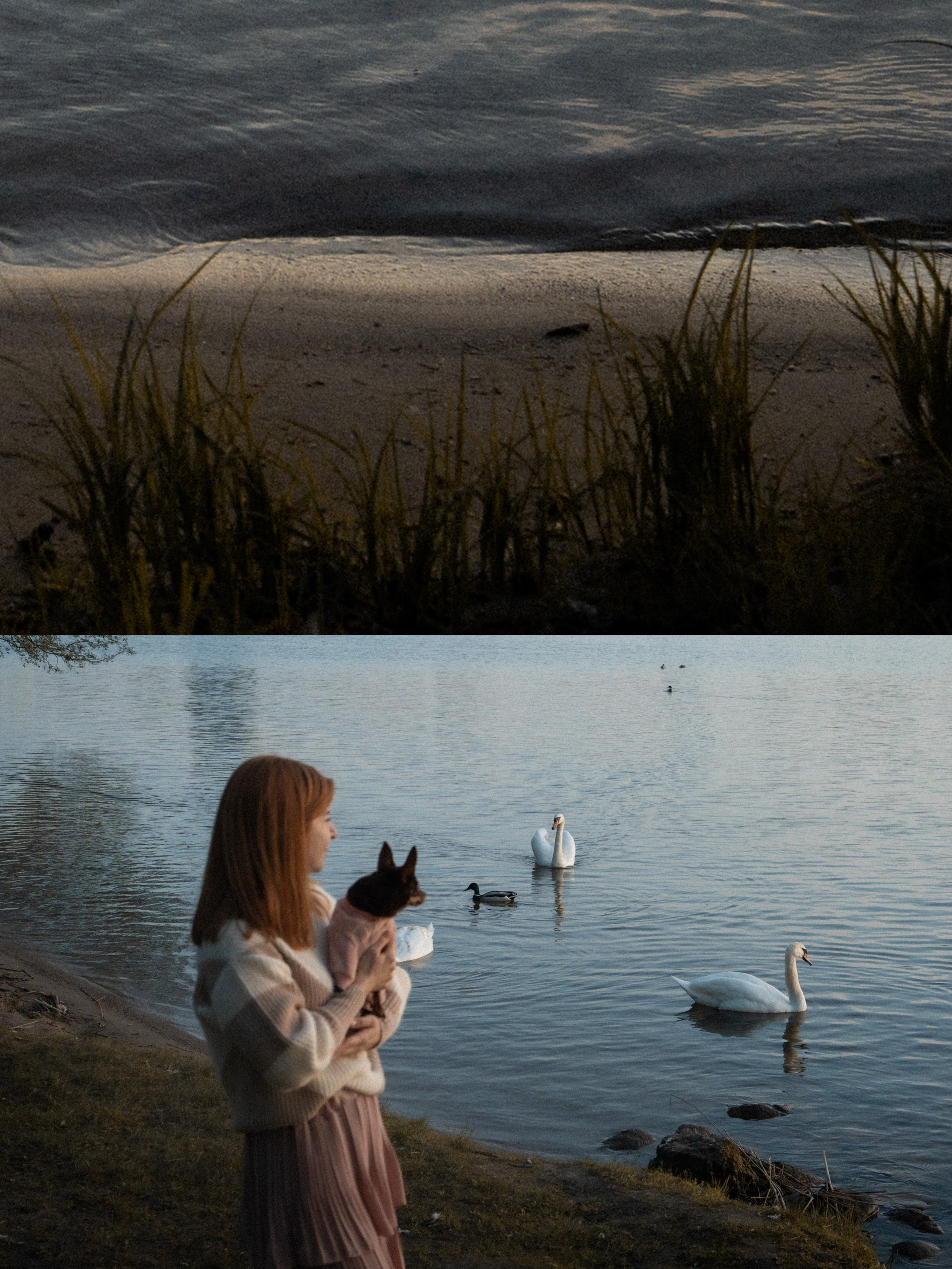 Марина и Мышка. Фотограф анималист в Москве и Санкт-Петербурге Свиридова Анна