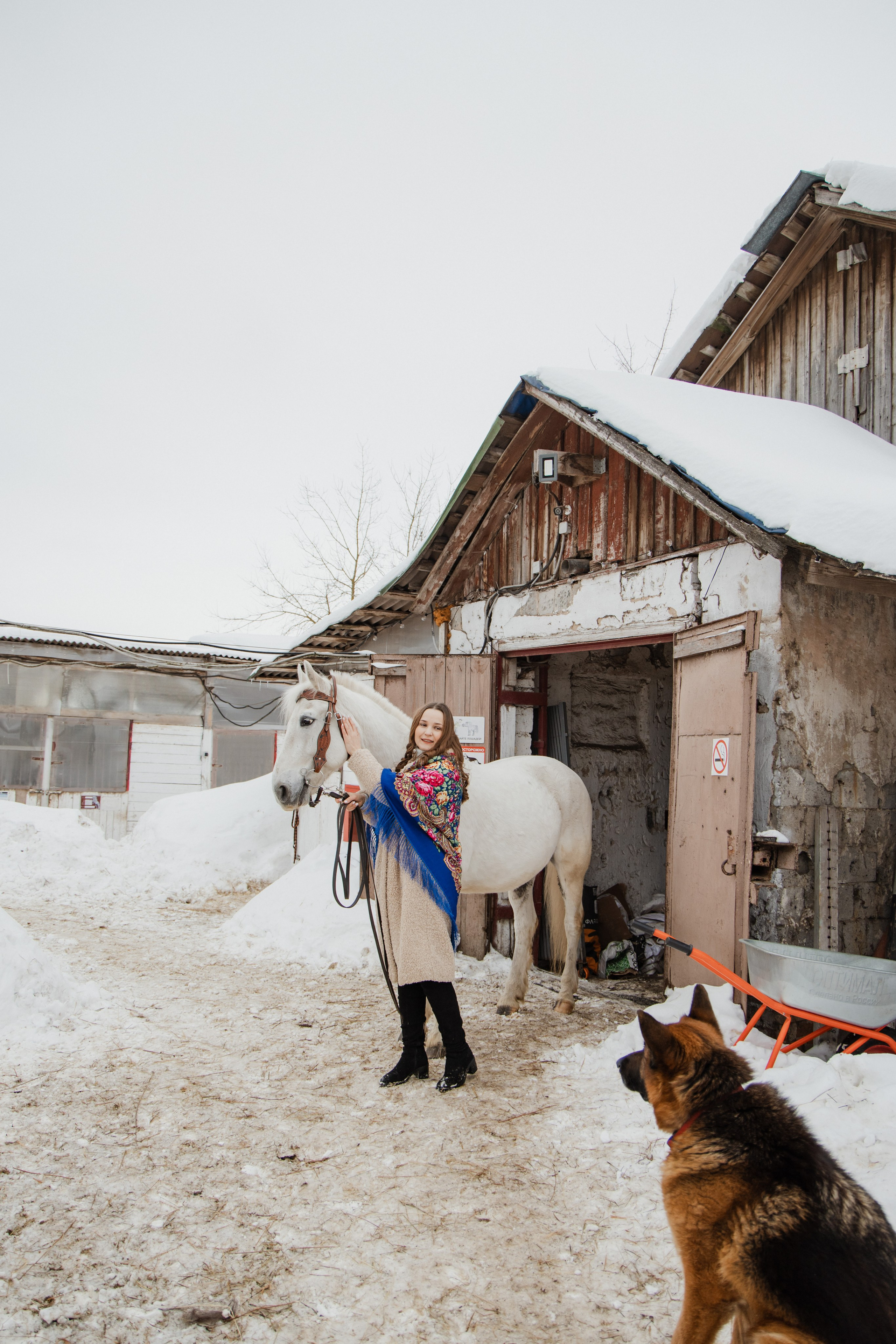 Фотосессия с Конем на Конном дворе. Свадебный фотограф в городе Подольск МО и Москва Крылова Ирина