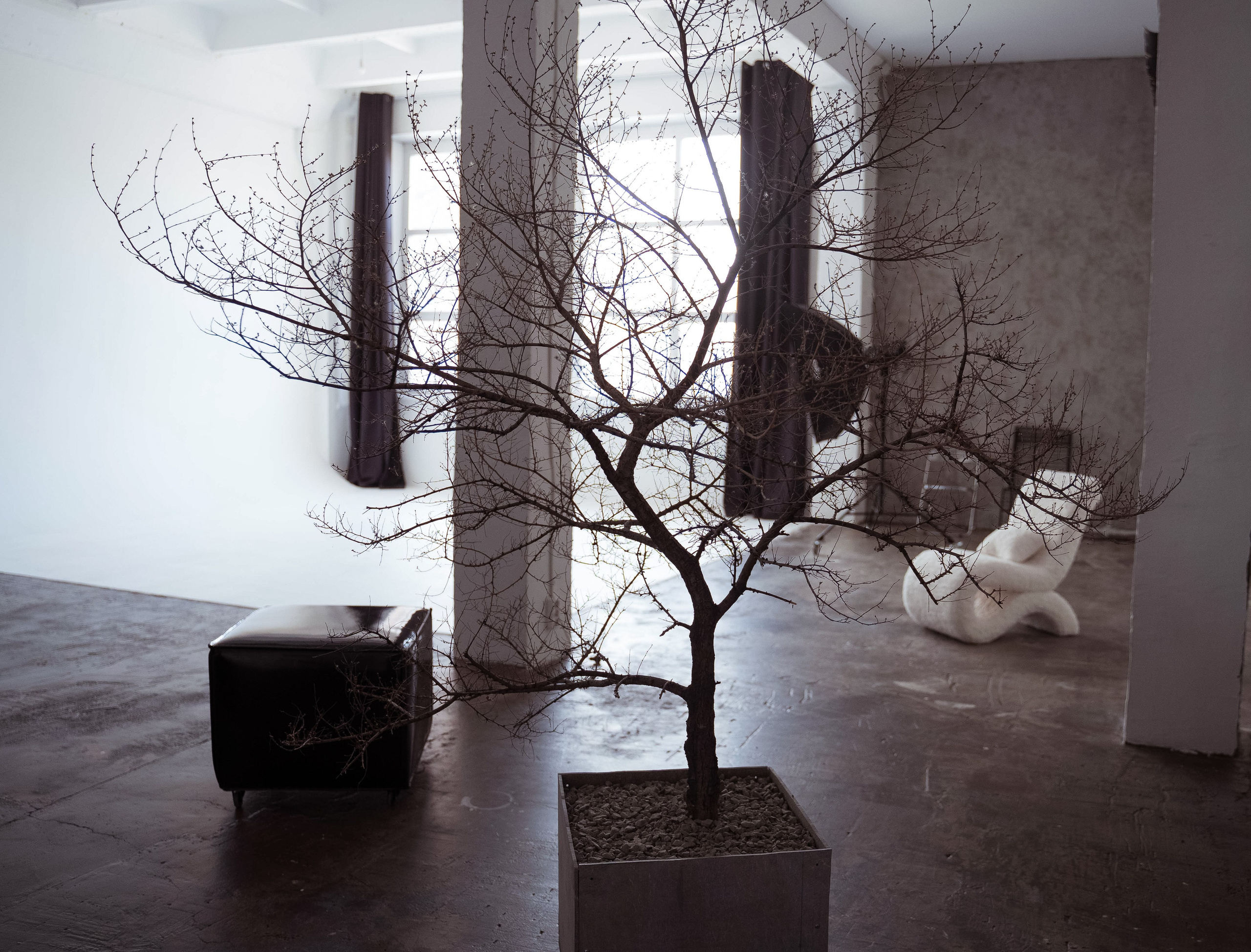 Грэй (студия Спутник). Фотограф г. Хабаровск. Семейные и индивидуальные съёмки