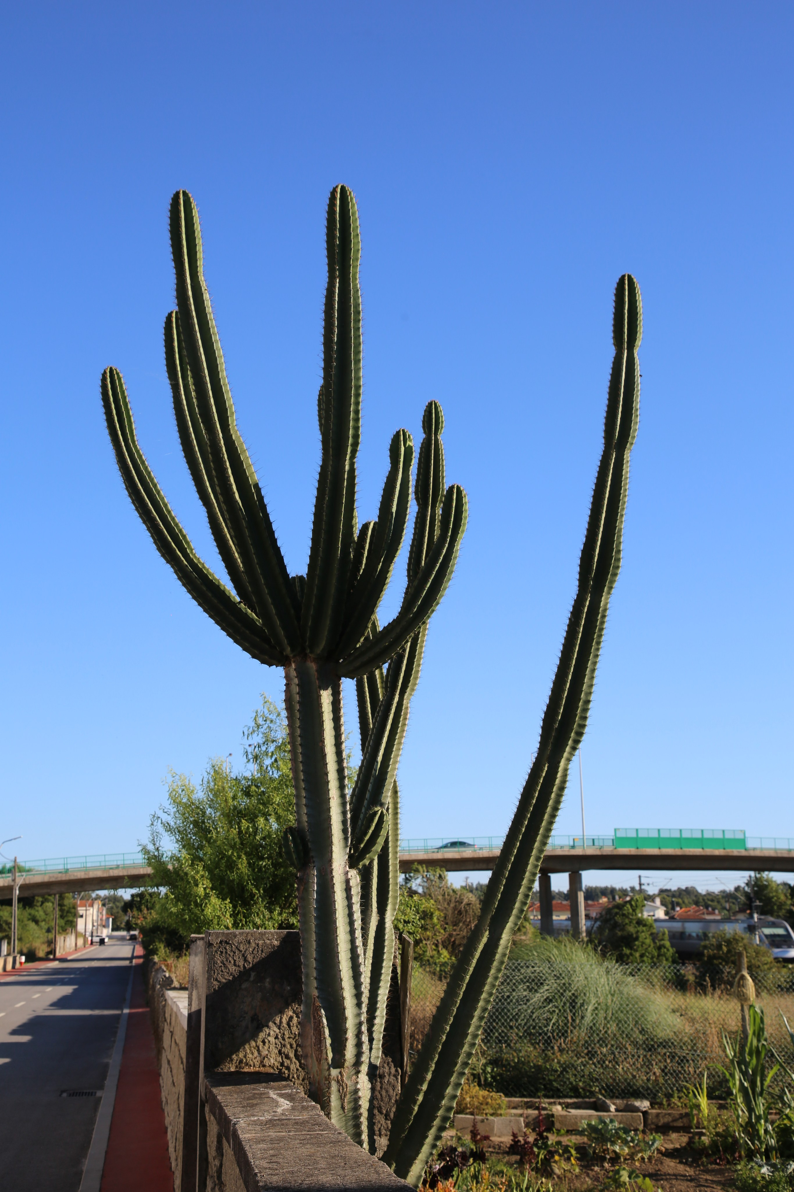 Esmoriz, Portugal. Andrey Filippov Photographer