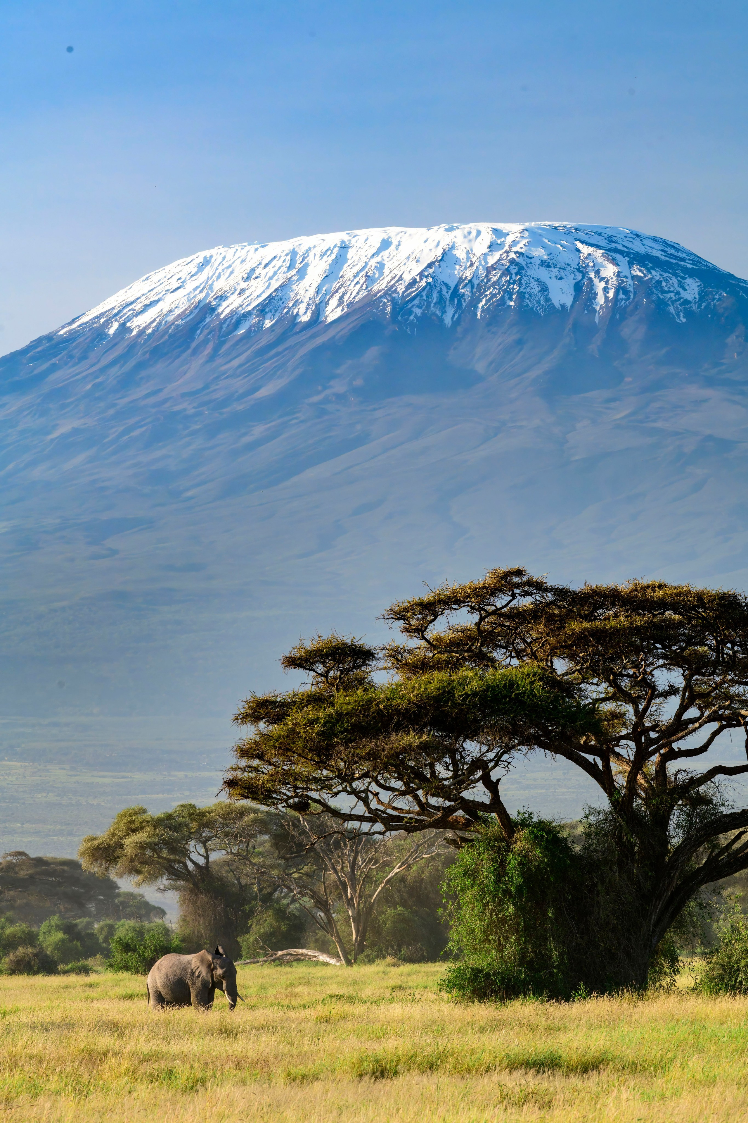 Кения. Wildlife photography by Sergey Puponin