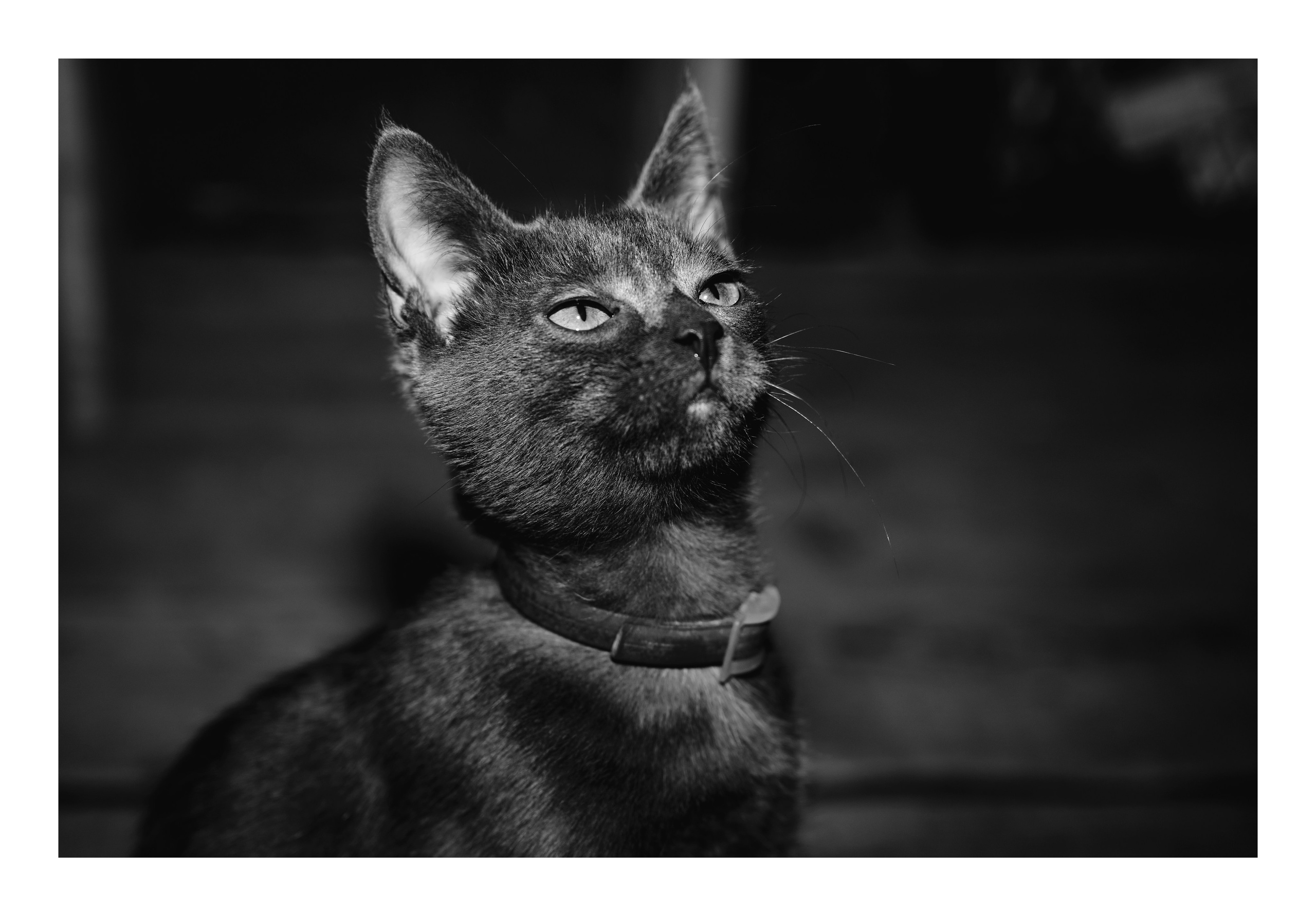 Фотопринты А3. Фотопроект «Территории»