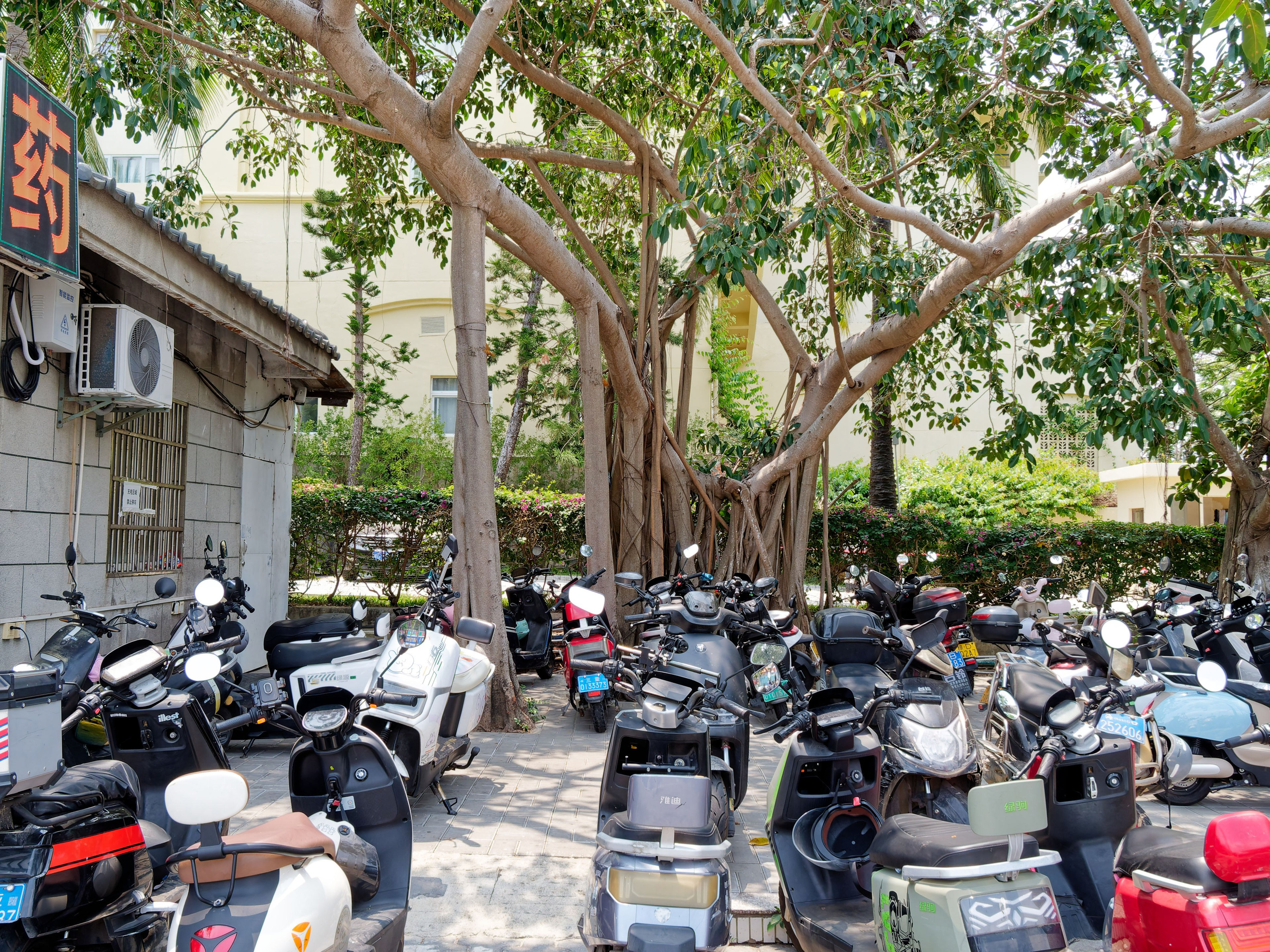 Хайнань 2026, море и пляж. Фотопрогулки по Миру