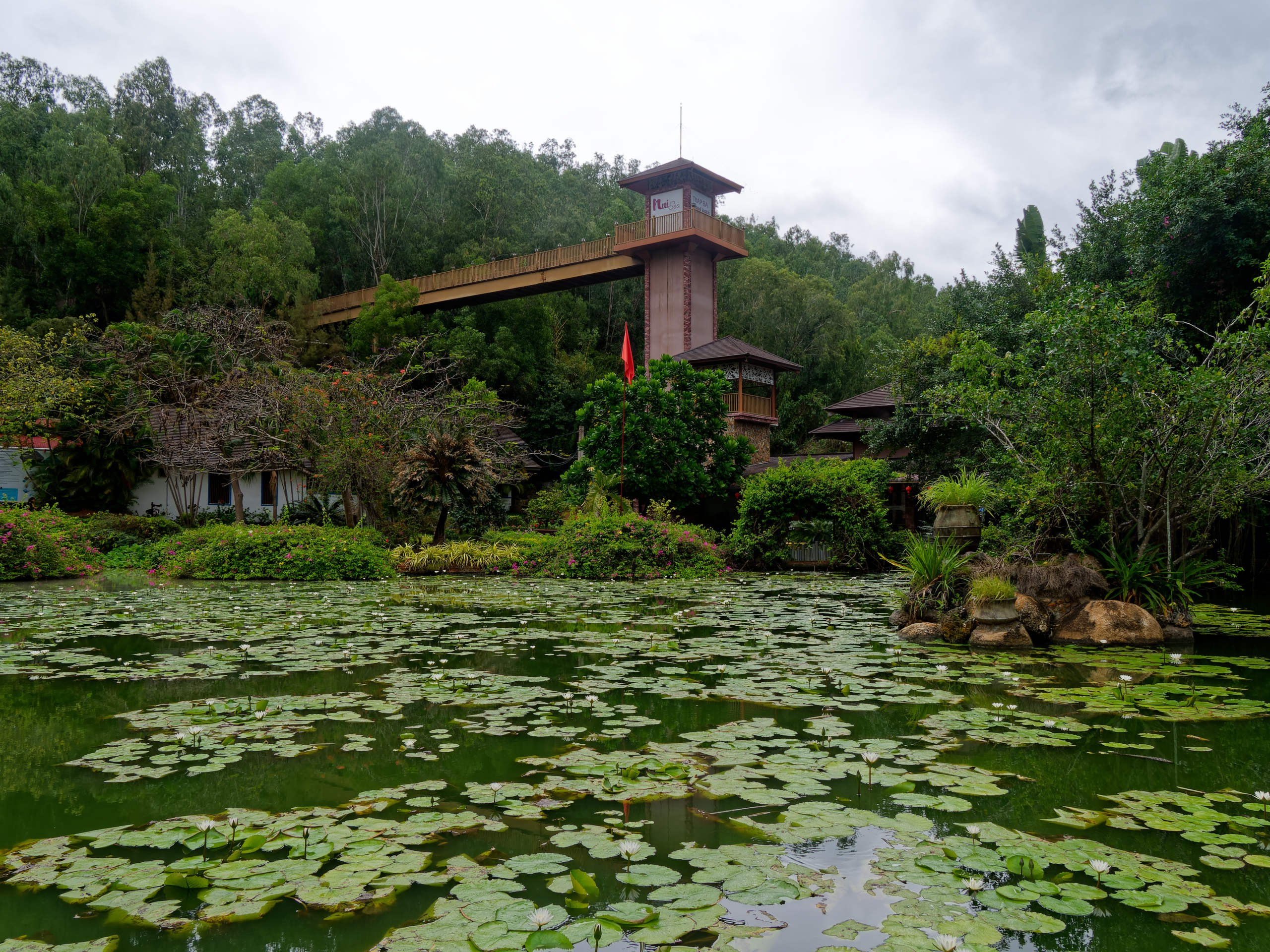 Нячанг 2025 (4). Избранные фотографии