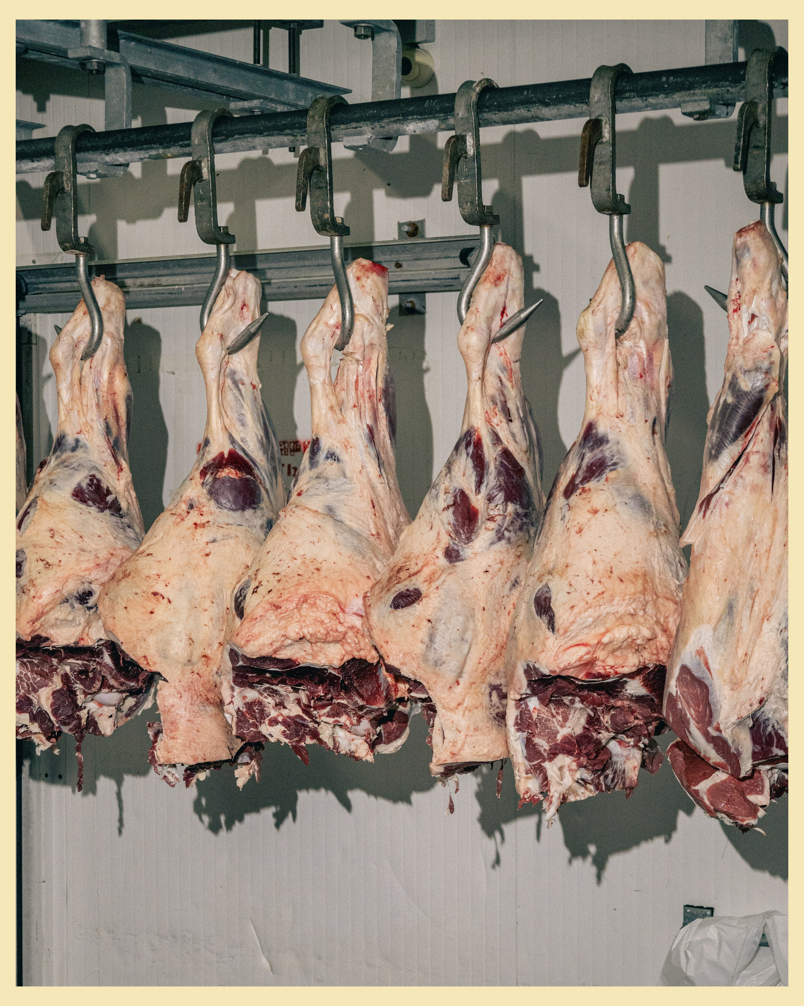 HBP x VANO. Ivan Petrov photographer