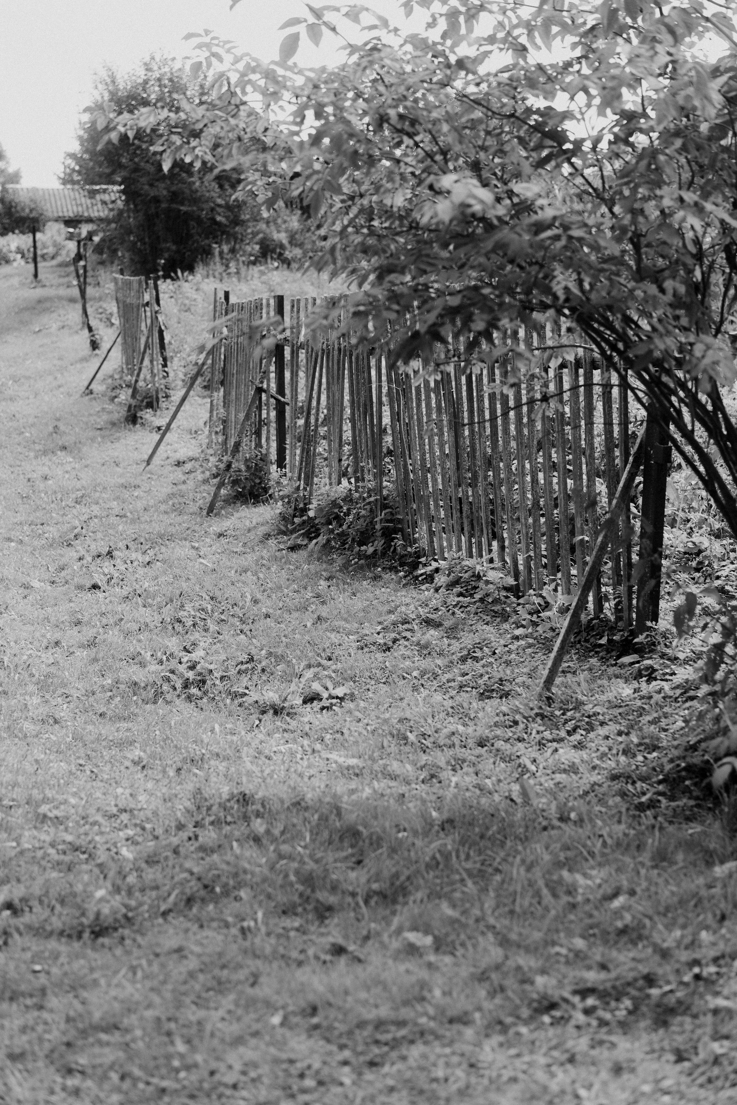 Нагорный Иштан. Veronika Popadeikina Photographer