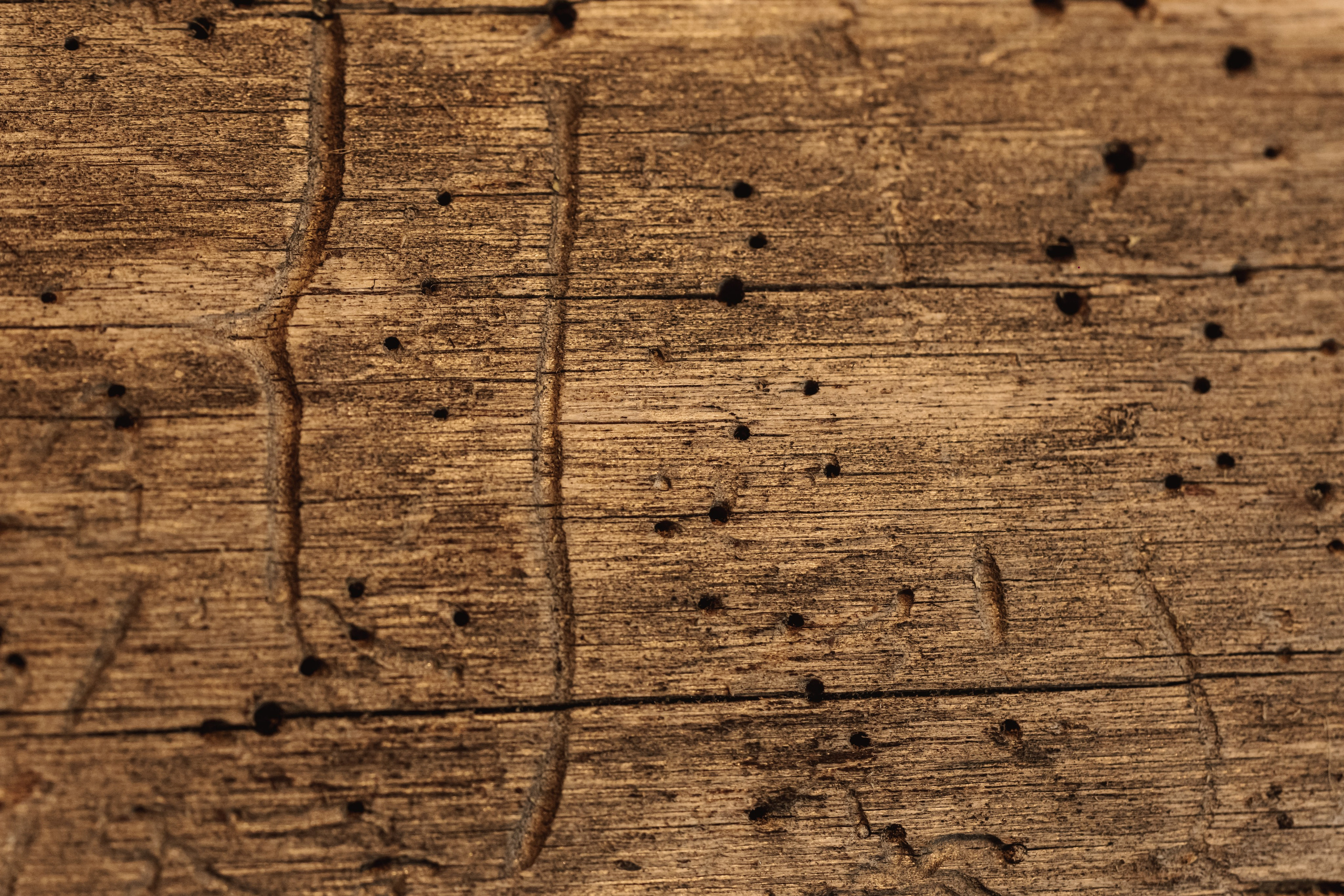 KUKSA|ТО, ЧТО ТЕБЯ СОГРЕВАЕТ|Кело-баня на дровах, г. Коломна. ФОТОГРАФ ИРИНА ШАМАТАВА