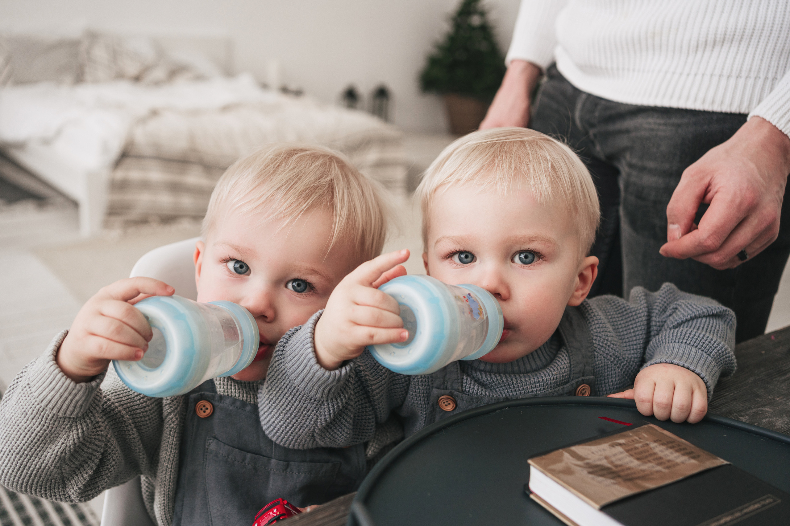 Фотосессия близнецов Новосибирск. Семейный фотограф, фотосессия беременности в Новосибирске Кристина Киб