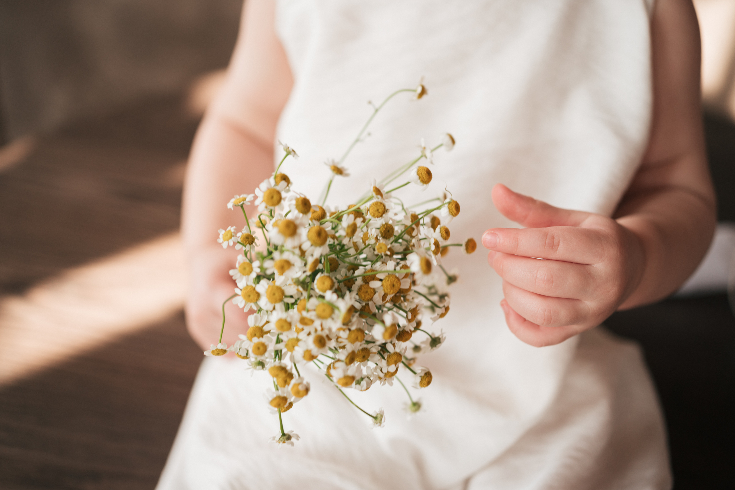Яна и ее двойняшки. Семейный фотограф, фотосессия беременности в Новосибирске Кристина Киб