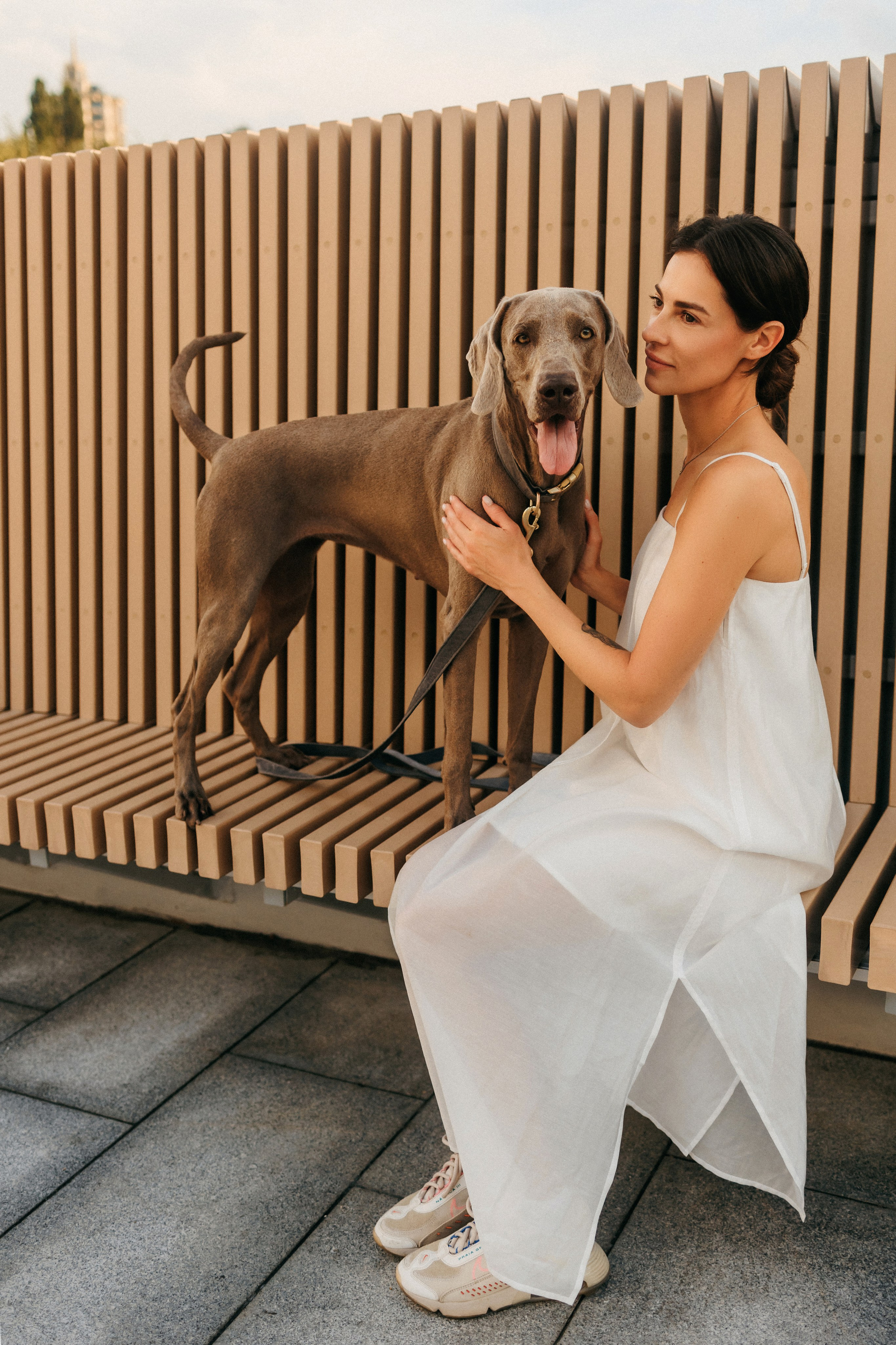 Соня и Майли. Фотограф-анималист Елена Радченко, Москва