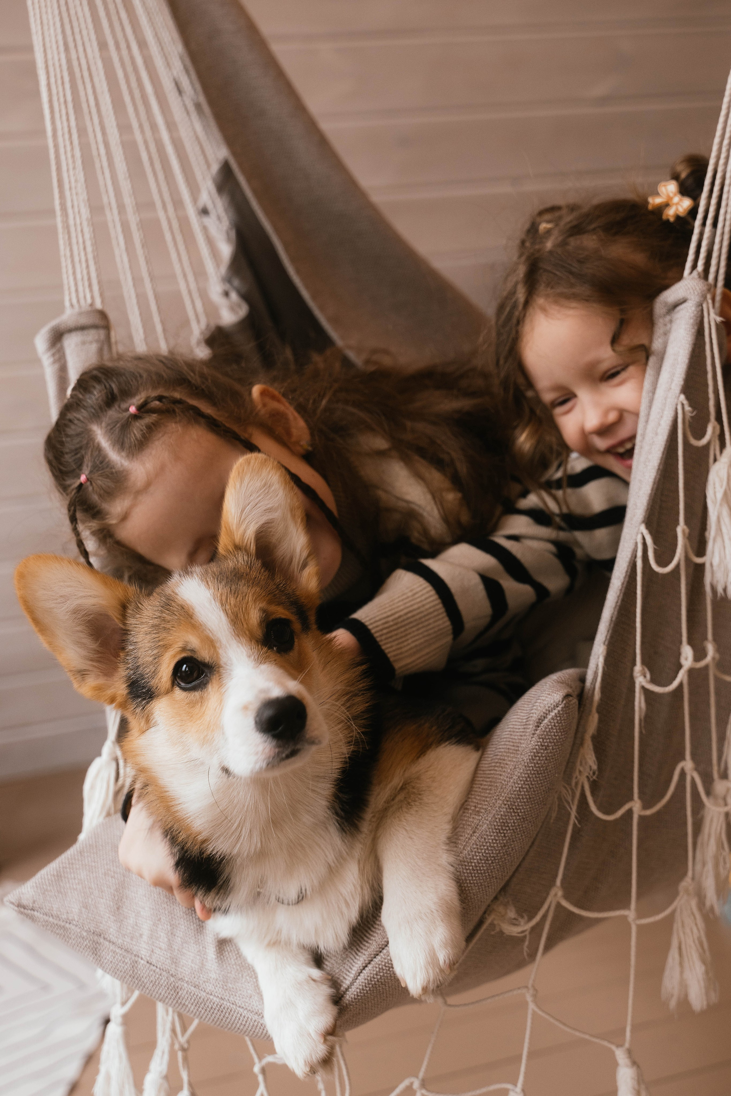 Вика, Коля, Лера, Ева и Вестар. Свадебный, семейный фотограф в Рязани Лена Брант