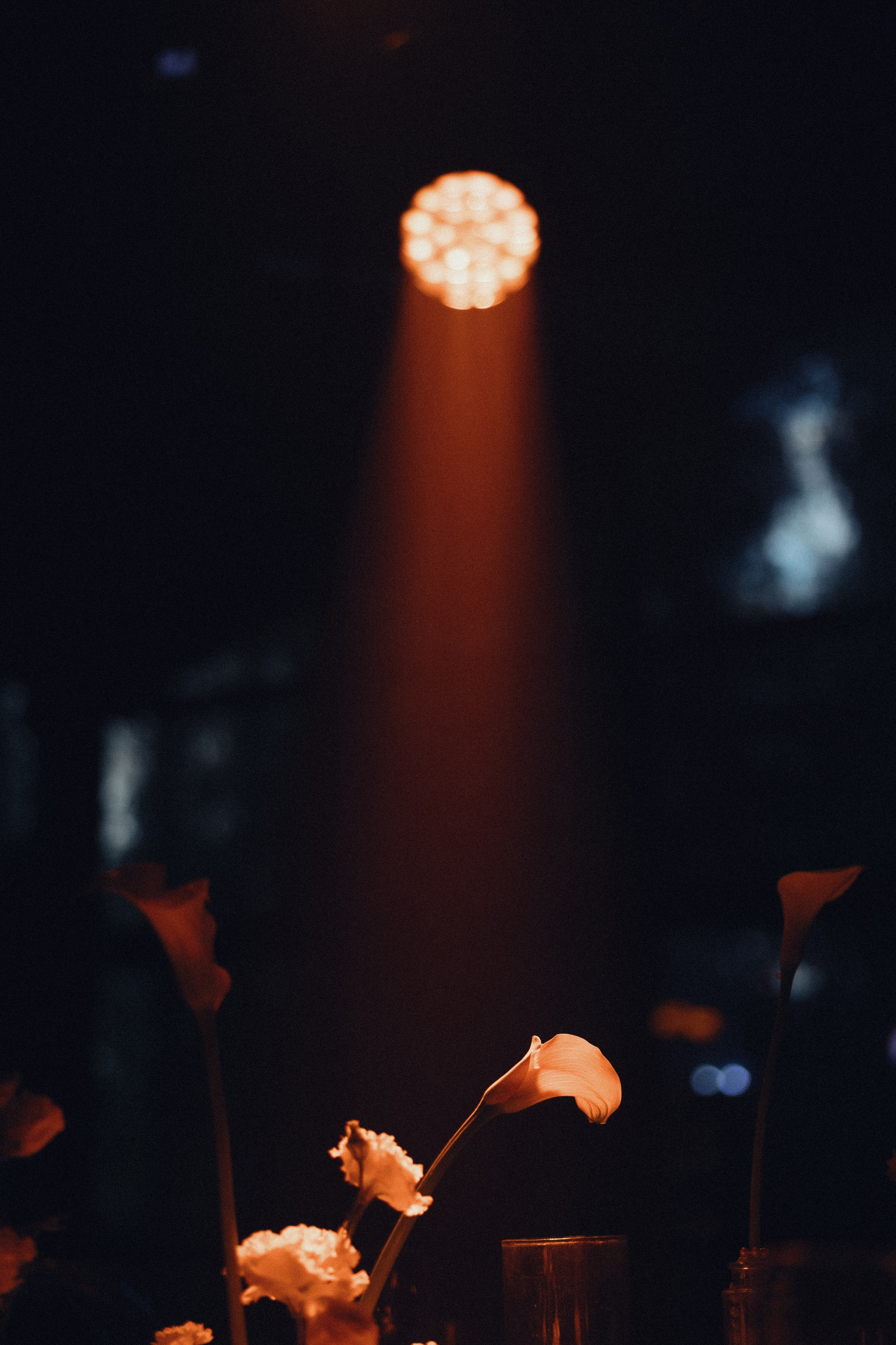 WONDERFUL FOREST. Свадебный фотограф Павел Князев