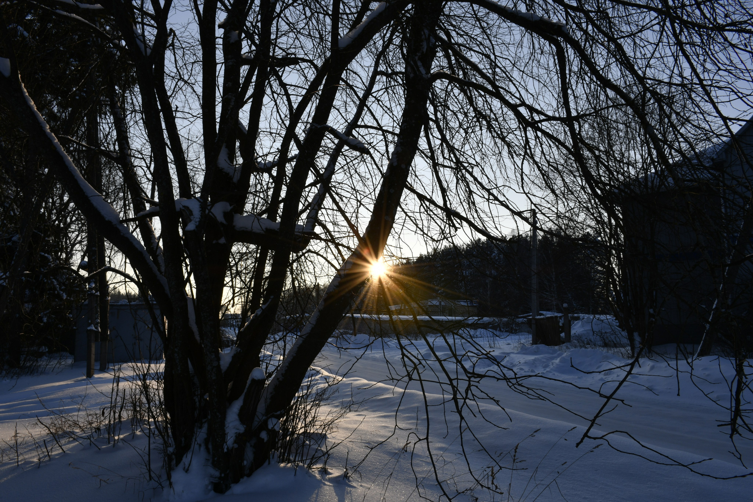 Природа. Анастасия Куц | фотограф | Пермский край