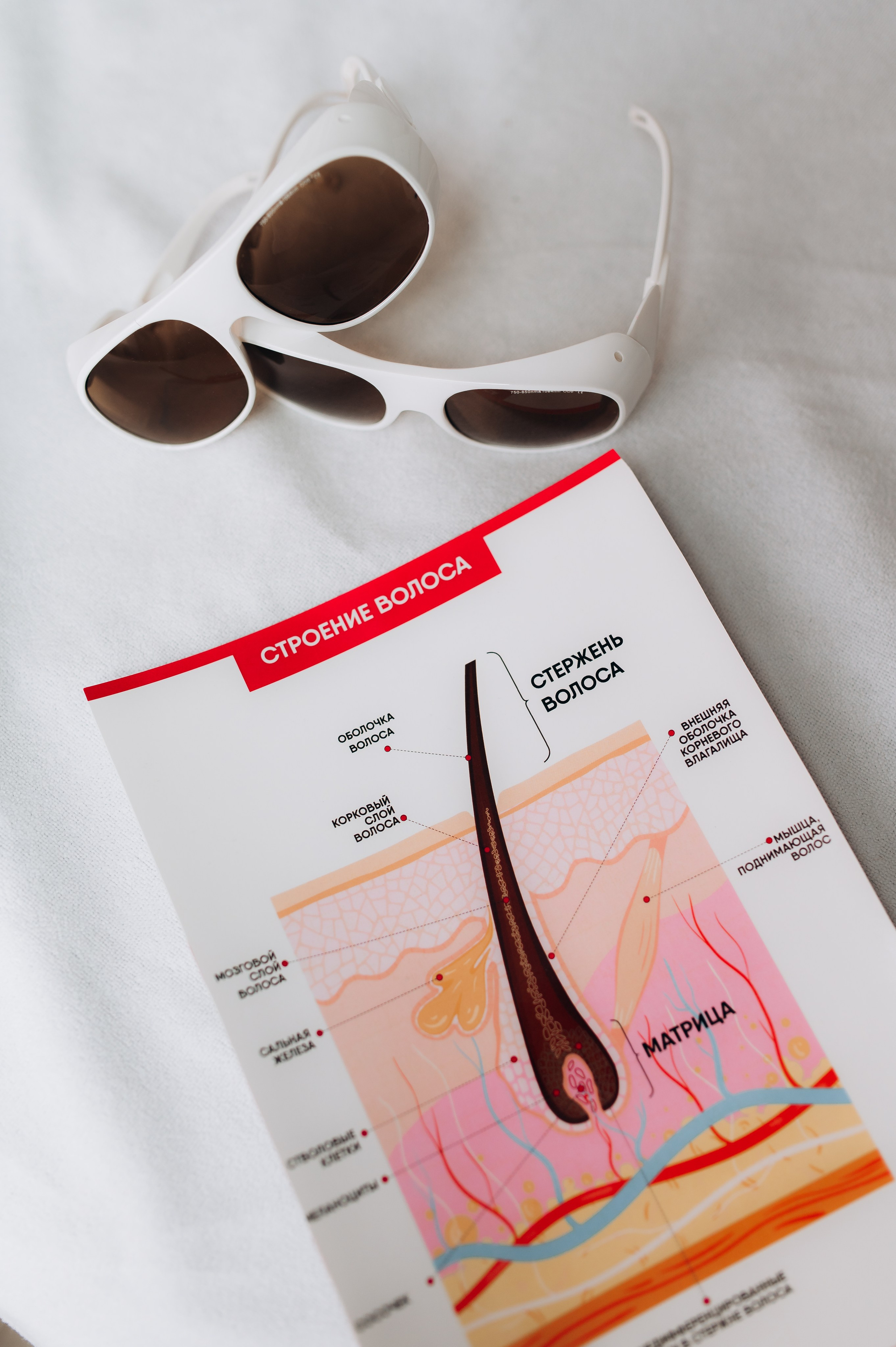 Для салона красоты. Фотограф Алексин, Тула