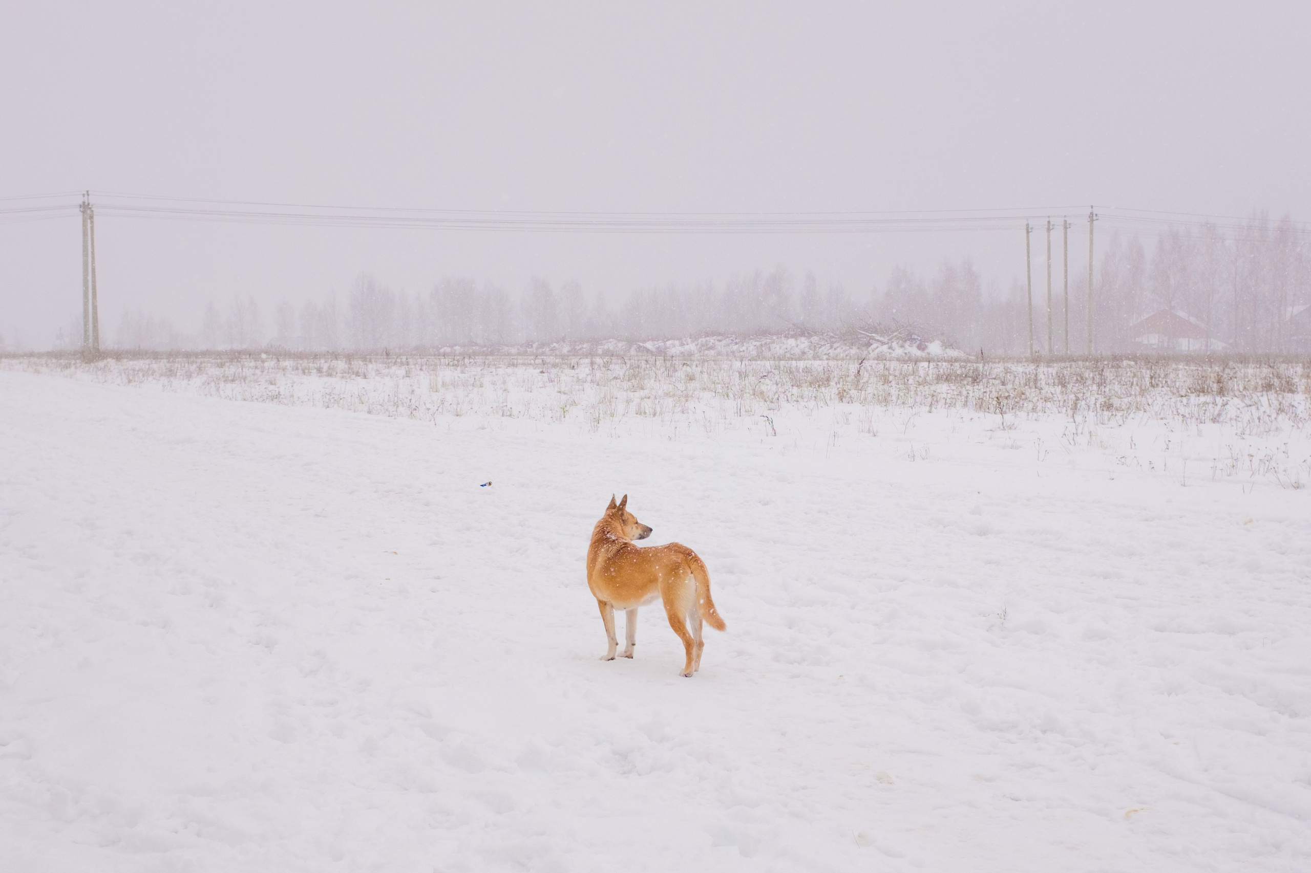 Singles 2. Alyona Kochetkova | Photographer and photography educator