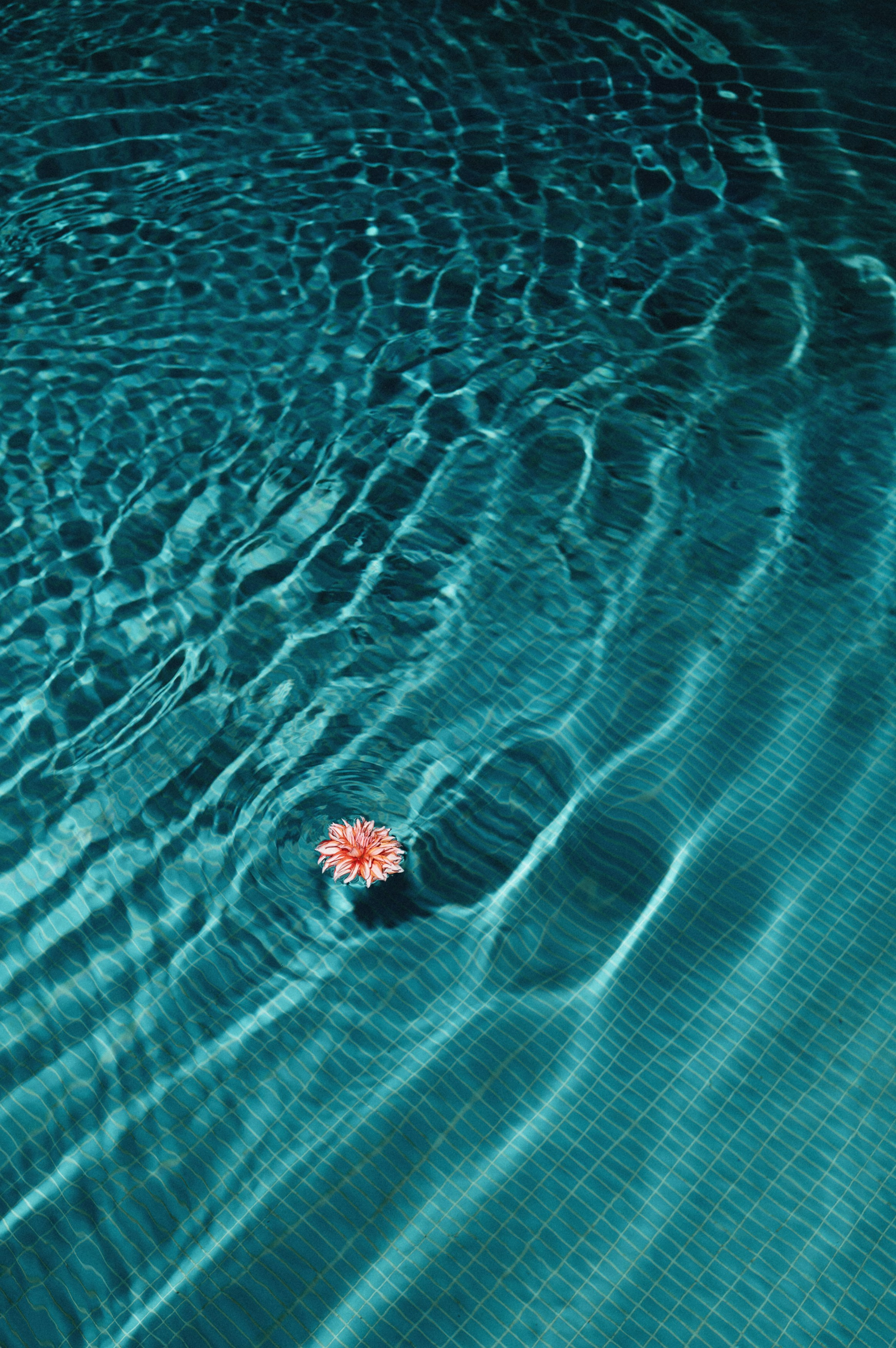 Maximilian&Polina. Sasha&Karina Photographers