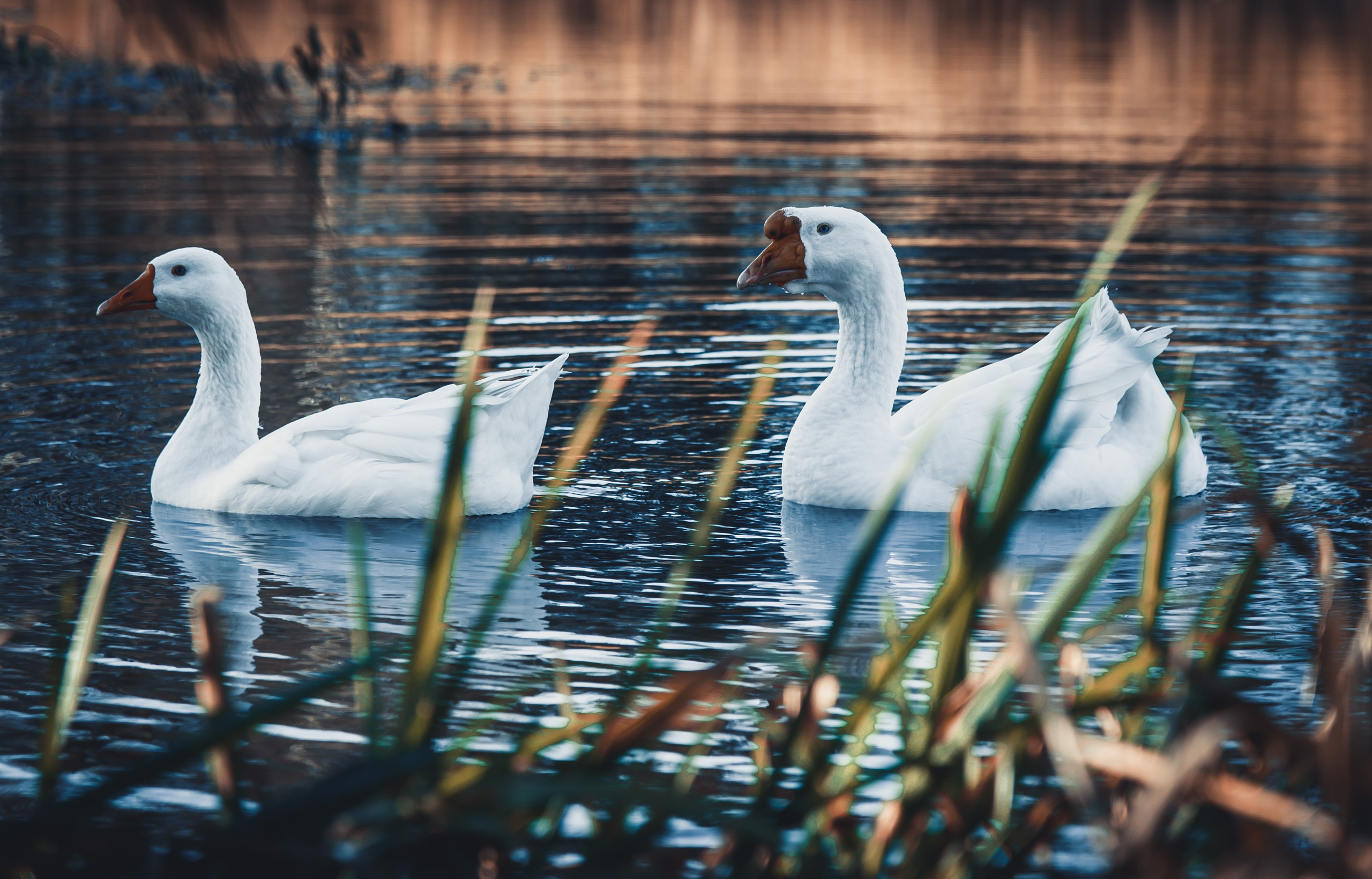 Уличная съемка. Фотограф и оператор Илья Гунбин