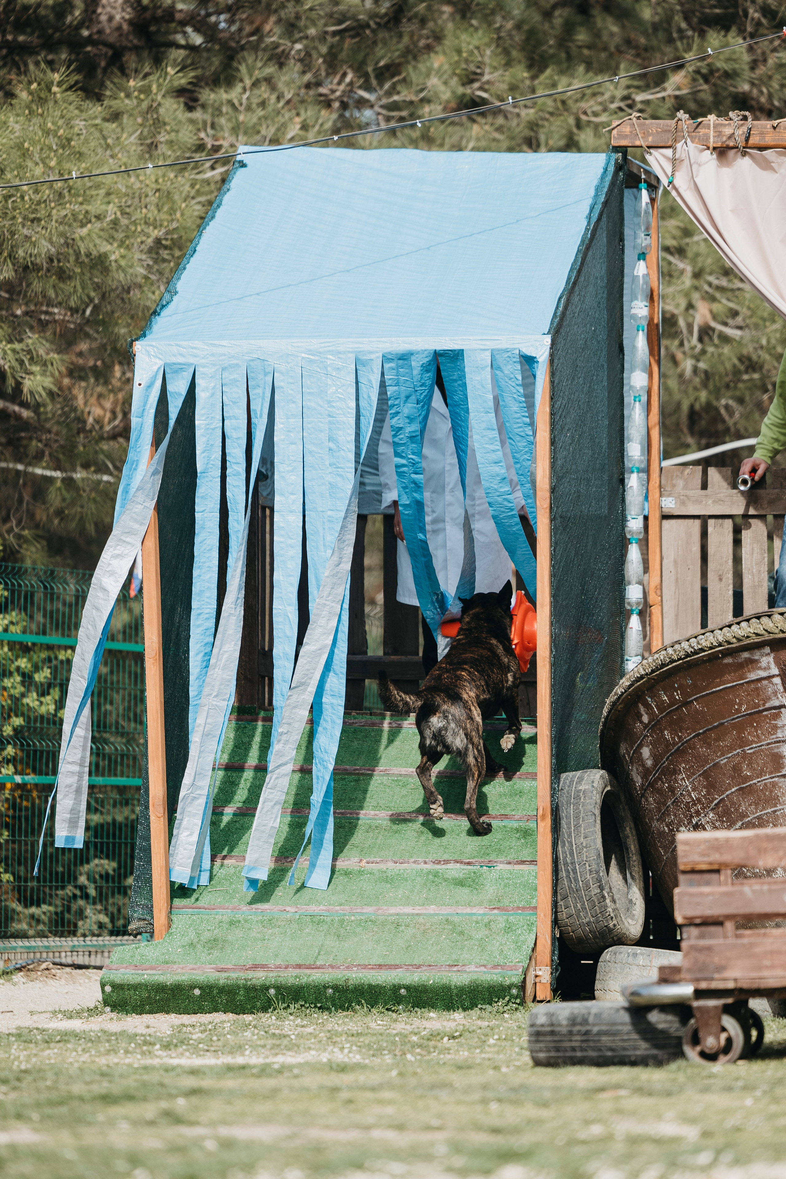 Геленджик Мондьоринг. Фотограф-анималист Анна Маринич