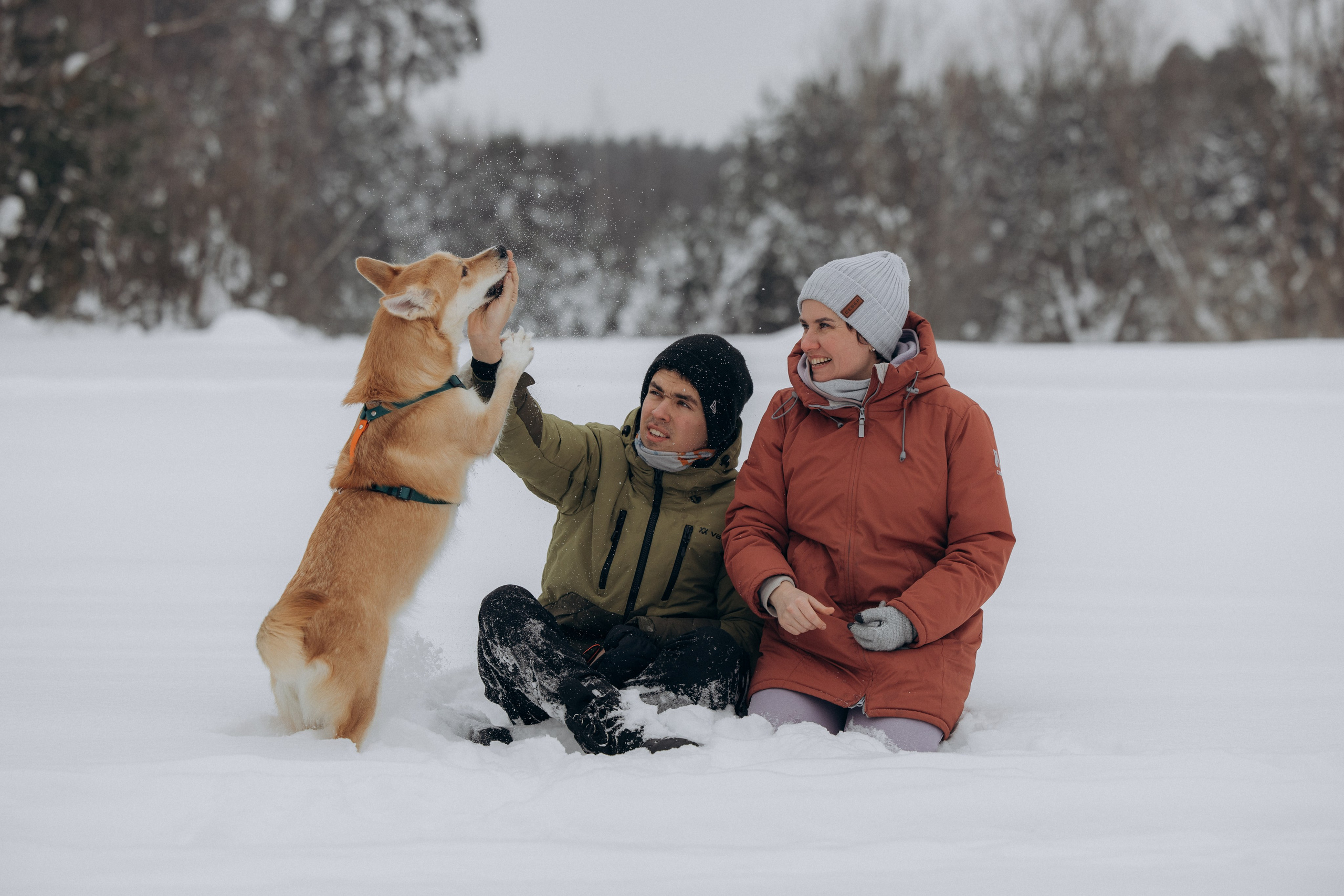 Прогулка на озере зимой. Фотограф анималист в Казани Алина Сулейманова. Фотограф животных