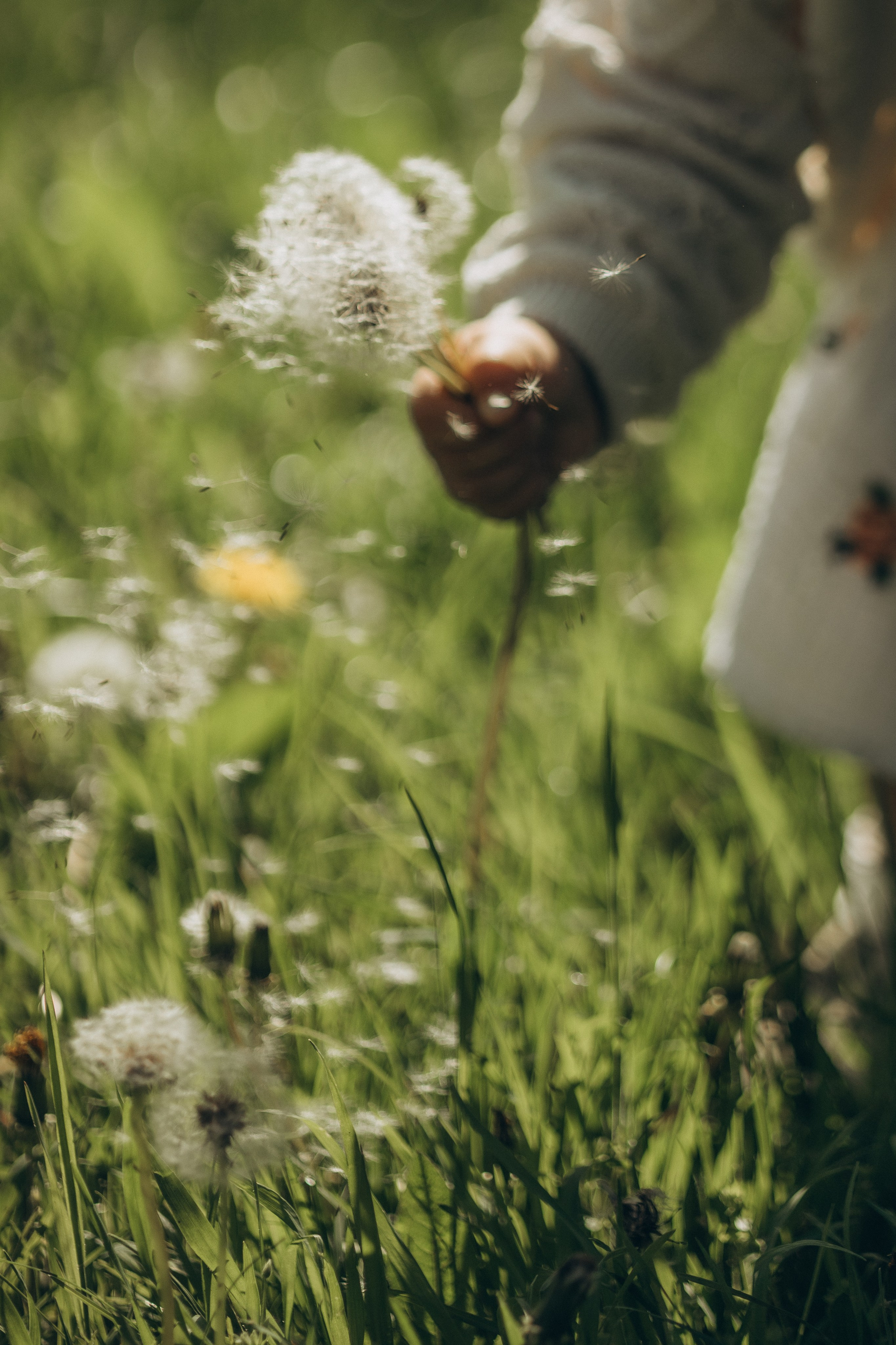 Сати. Свадебный и Семейный фотограф в городе Тимашевск и Краснодар