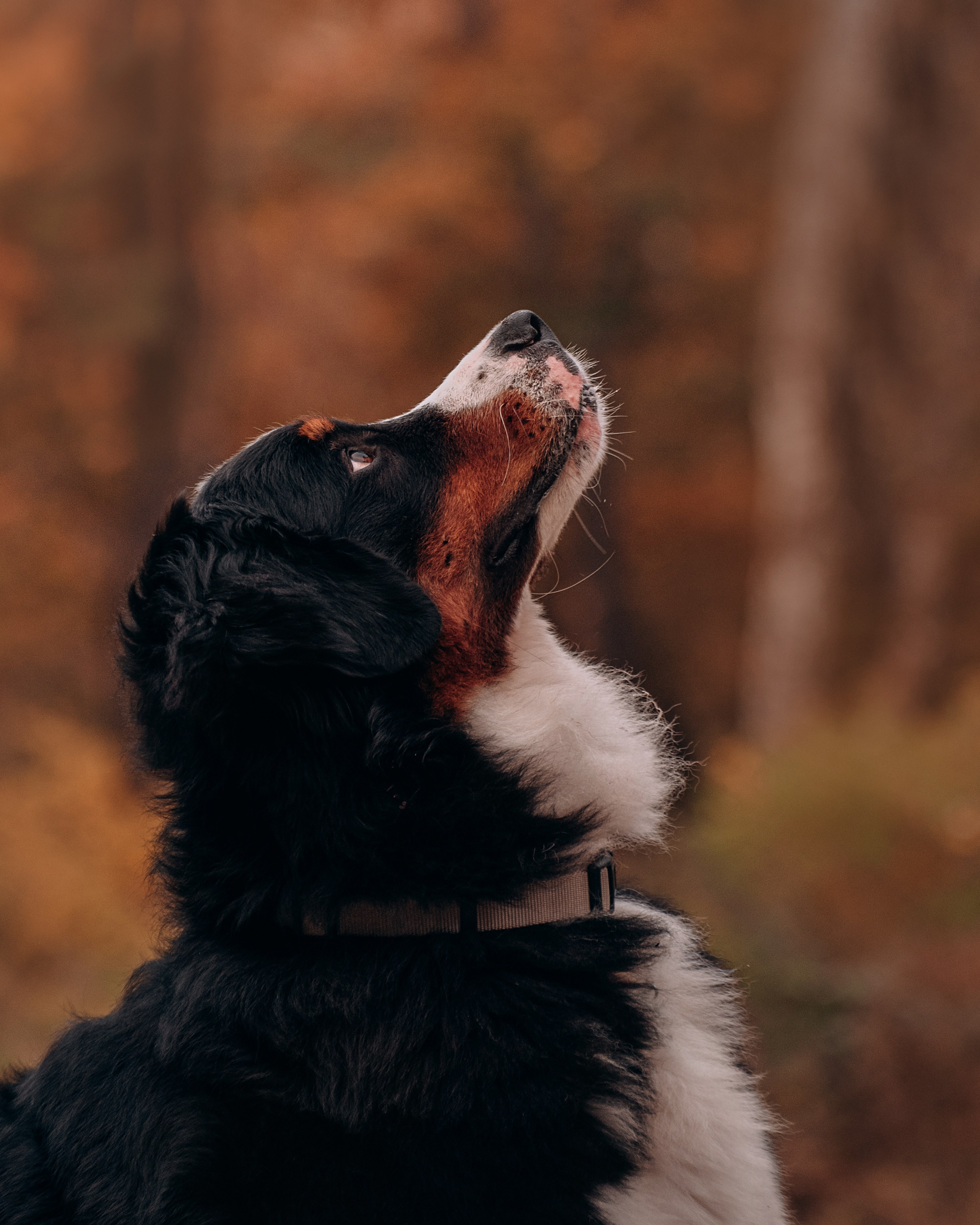 Владивосток: Марс и Маша. Портфолио