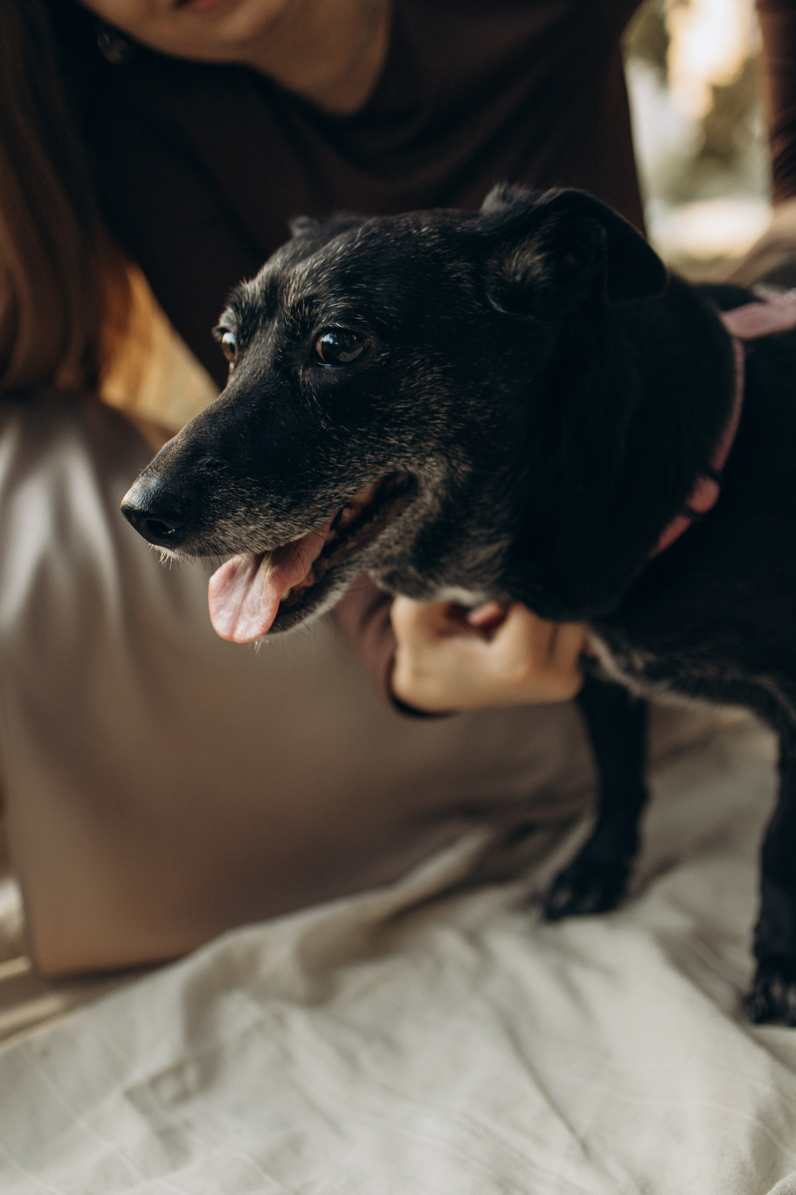 Влад и Ксюша. Самый теплый фотограф в Краснодаре Рябоконь Ксения