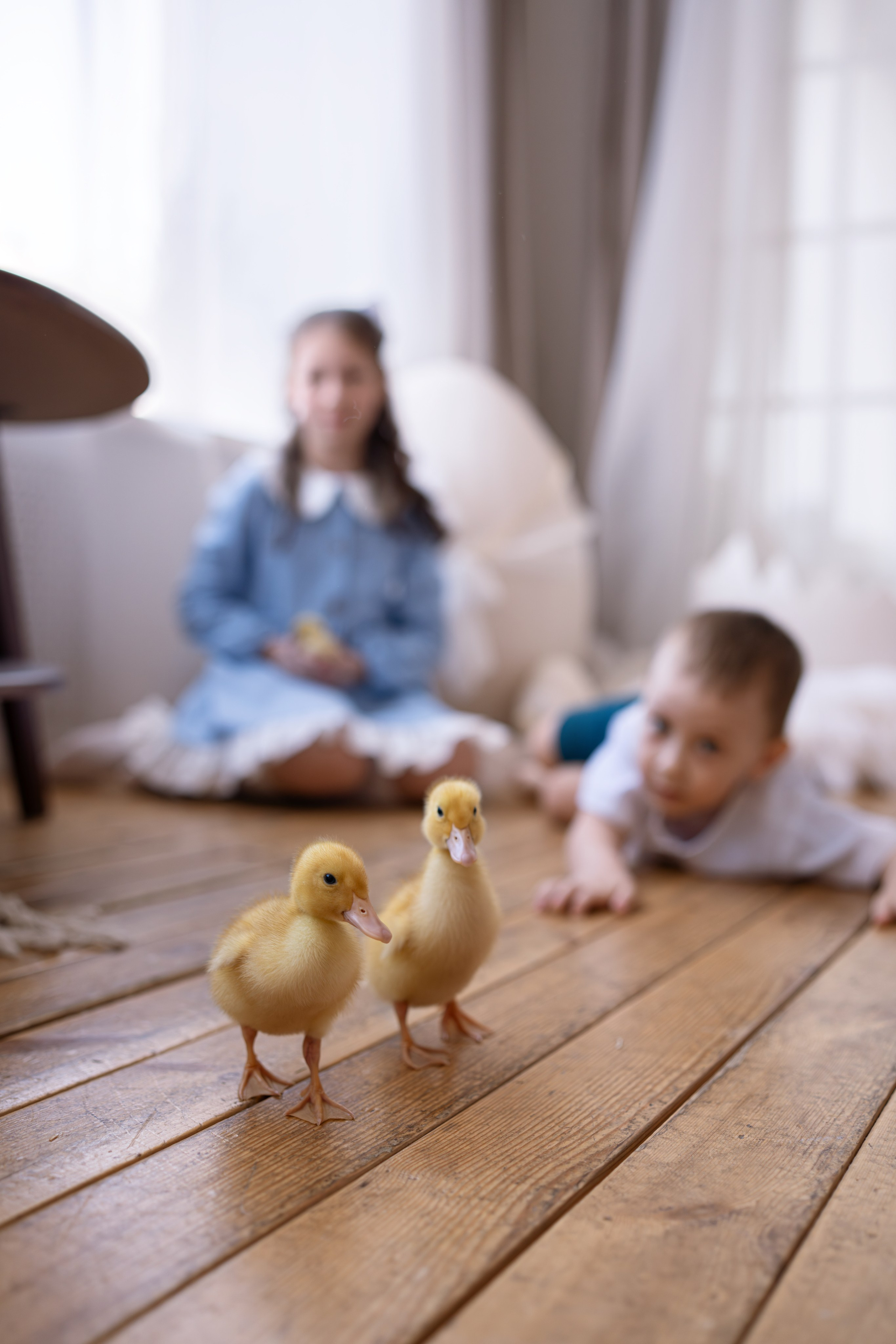 Семейная студийная съемка. Семейный и портретный фотограф в Санкт-Петербурге Татьяна Гримоть