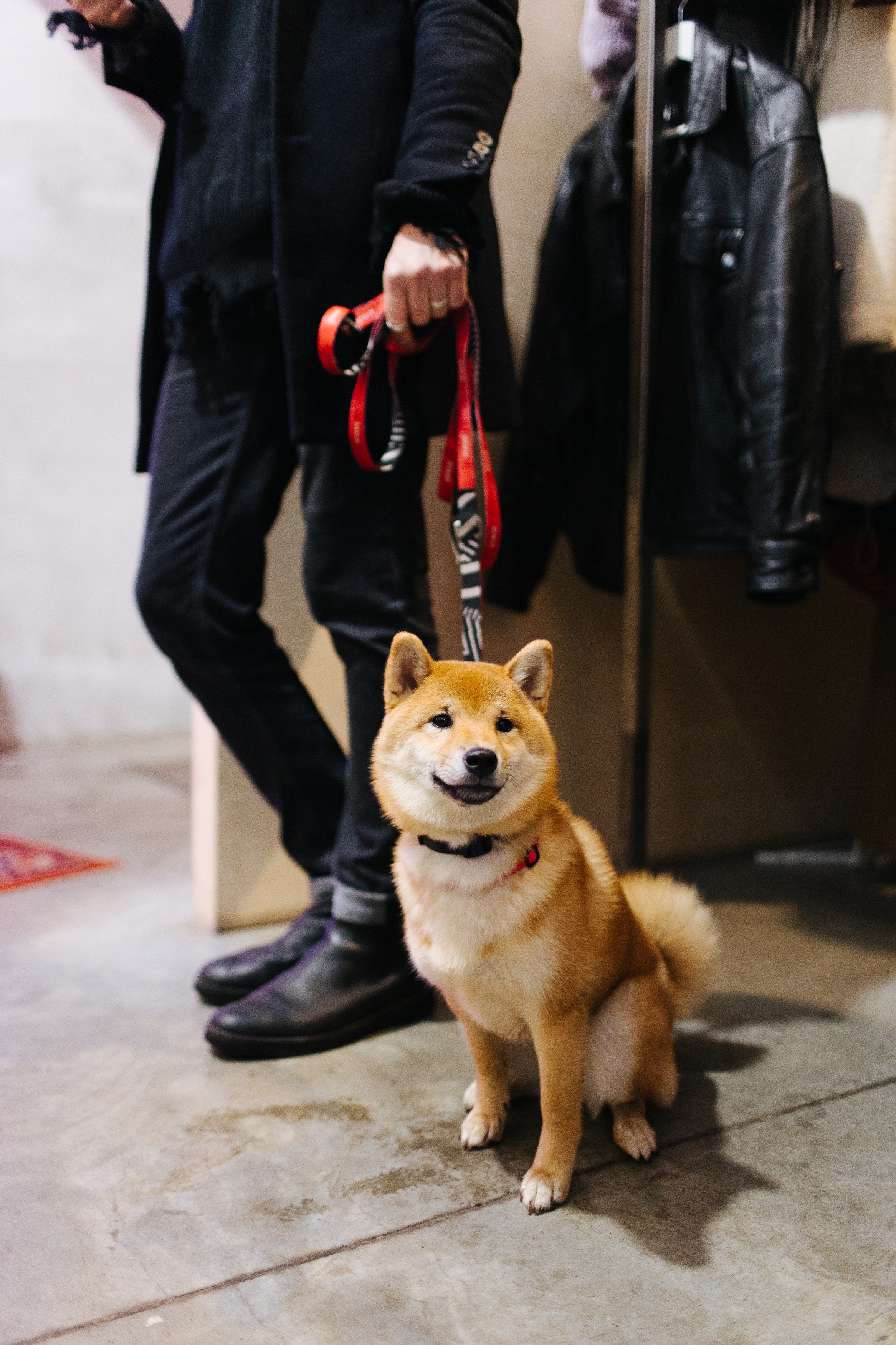 12–13 ноября 2022 POP-UP в ДК Рассвет. Фотоотчеты «Ламбада-маркета»