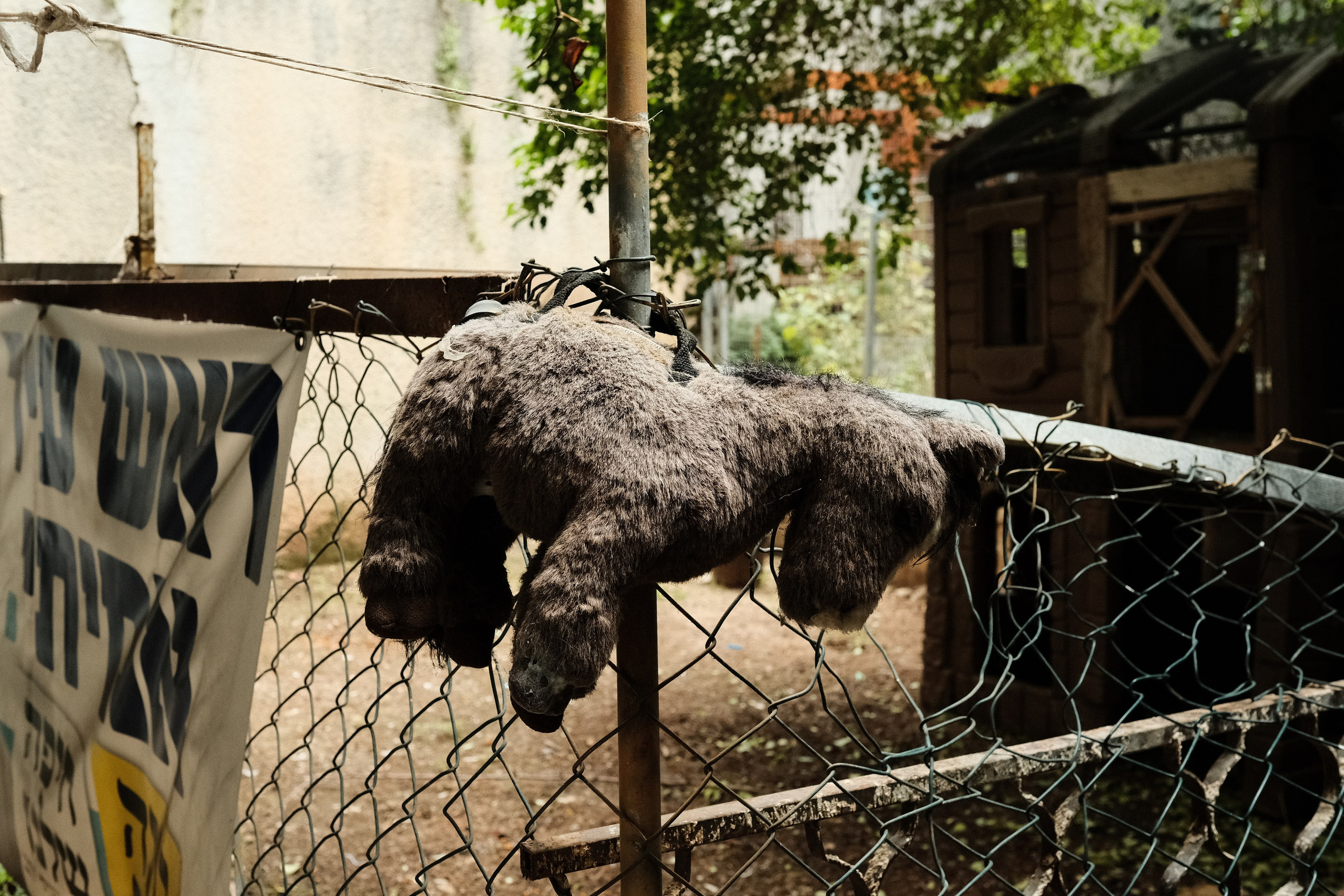 Фотографии Хайфы | Филипп Линзин. Репортажный и портретный фотограф в Санкт-Петербурге Филипп Линзин