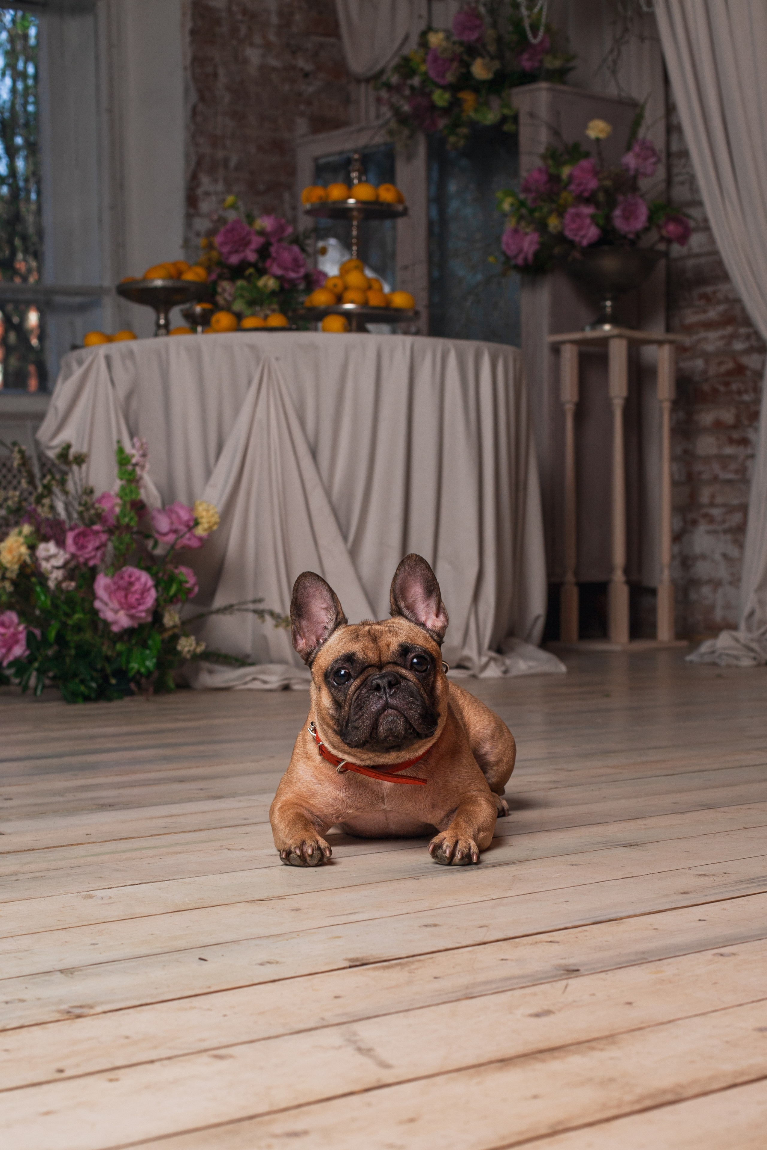 Наталья и Фрося. Фотограф-анималист Татьяна Степанова